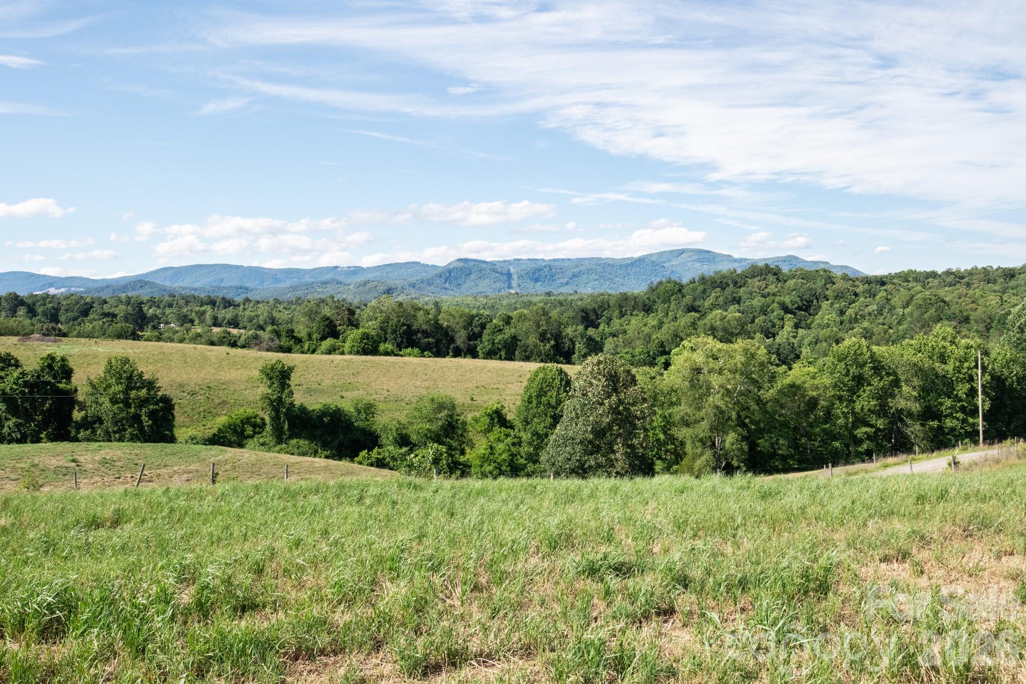 1779 Round Hill Church Road Property Photo 15