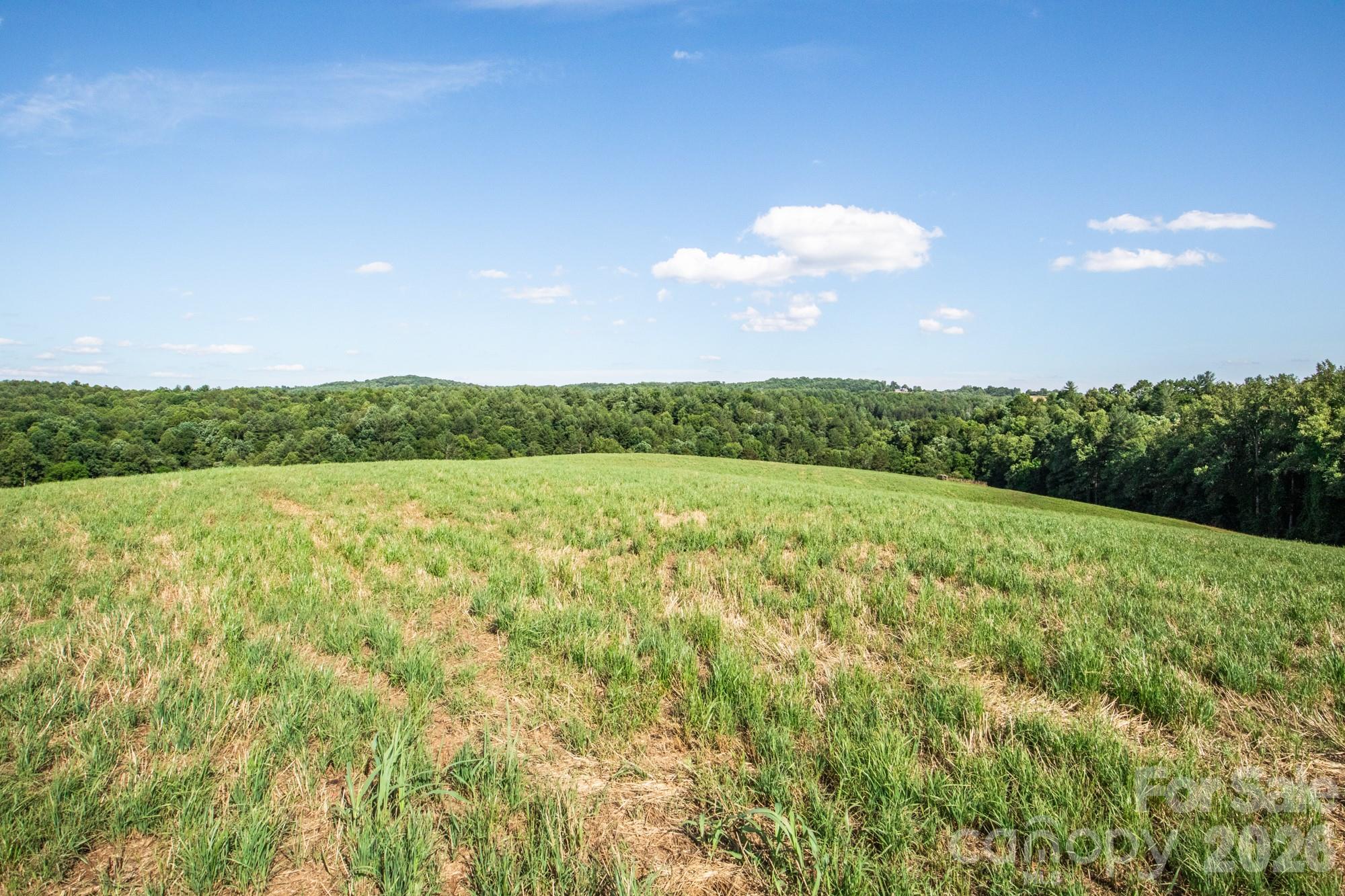 1779 Round Hill Church Road Property Photo 16