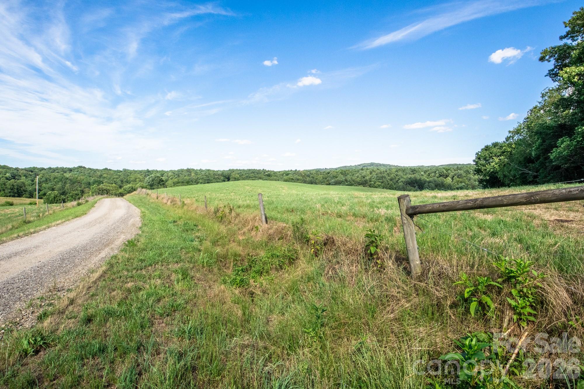 1779 Round Hill Church Road Property Photo 17
