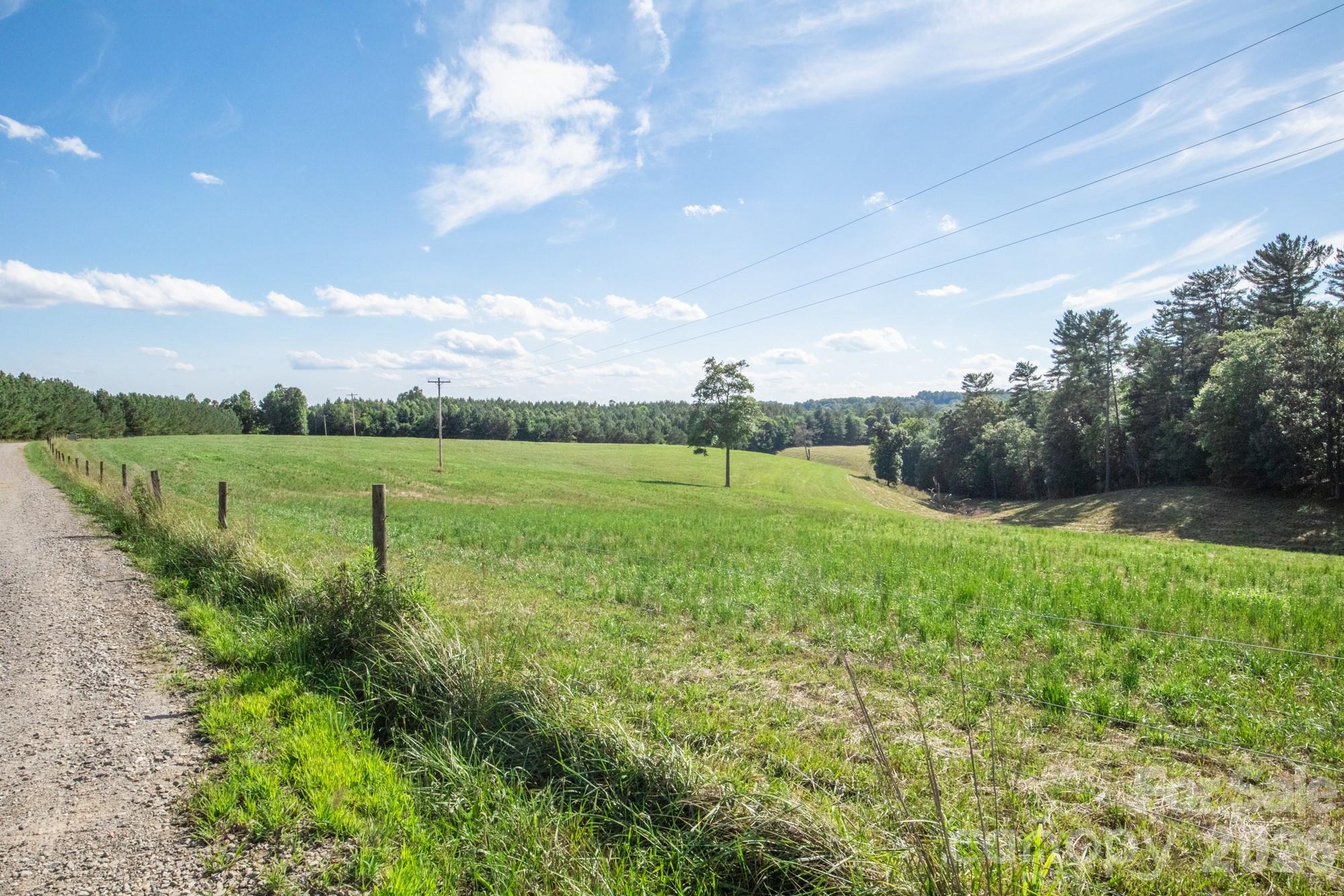 1779 Round Hill Church Road Property Photo 18