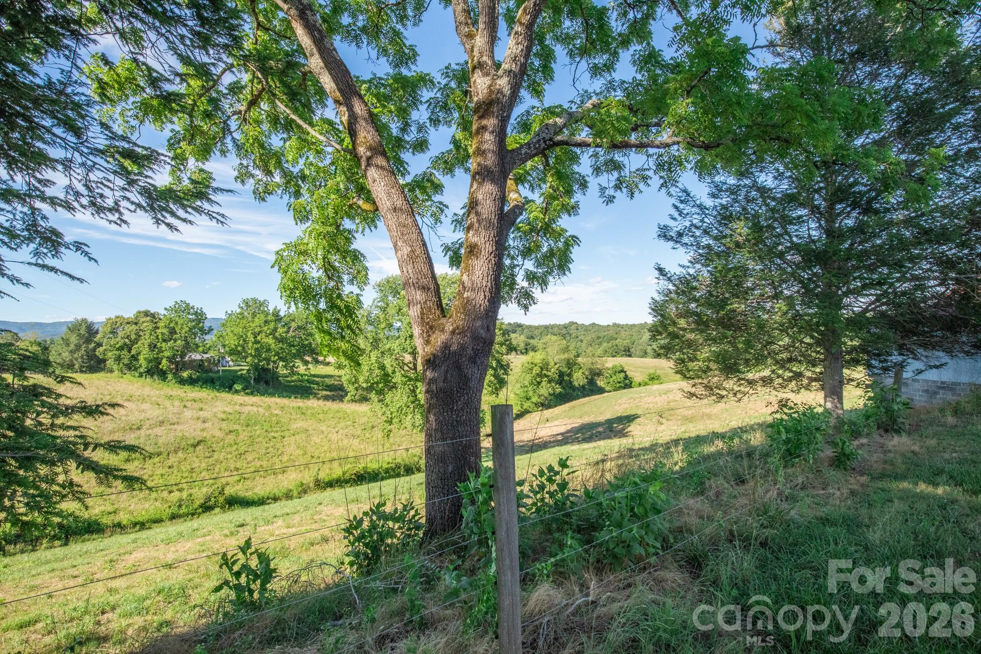 1779 Round Hill Church Road Property Photo 21