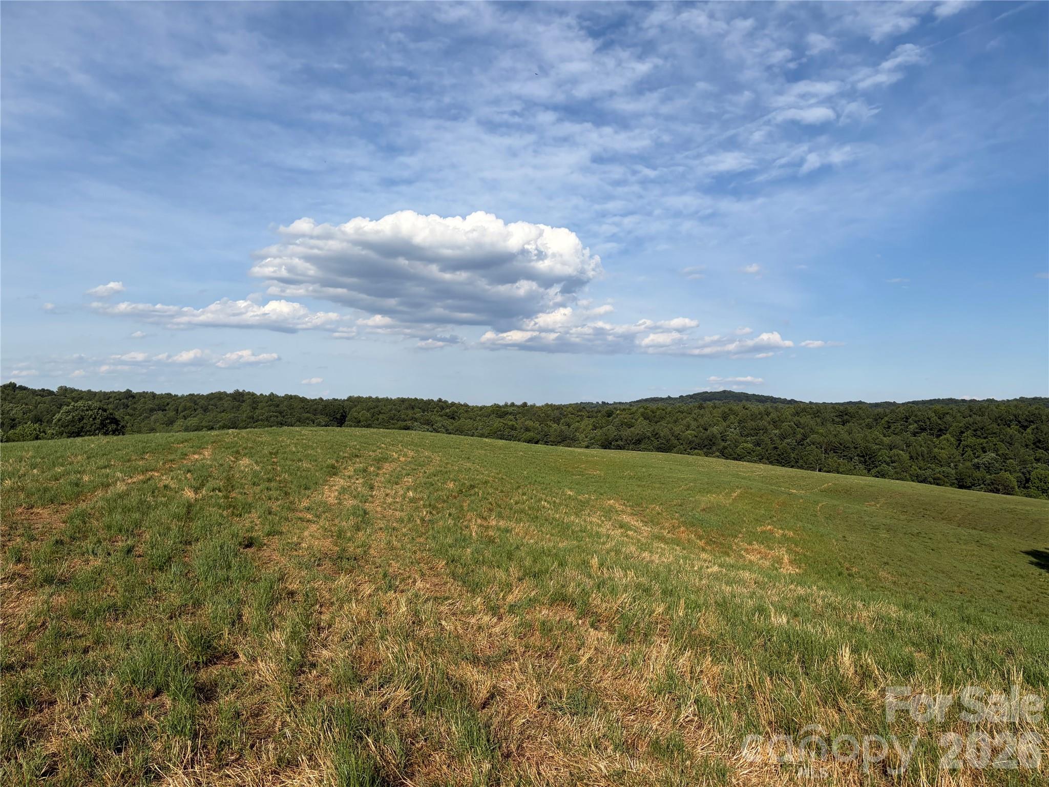 1779 Round Hill Church Road Property Photo 24