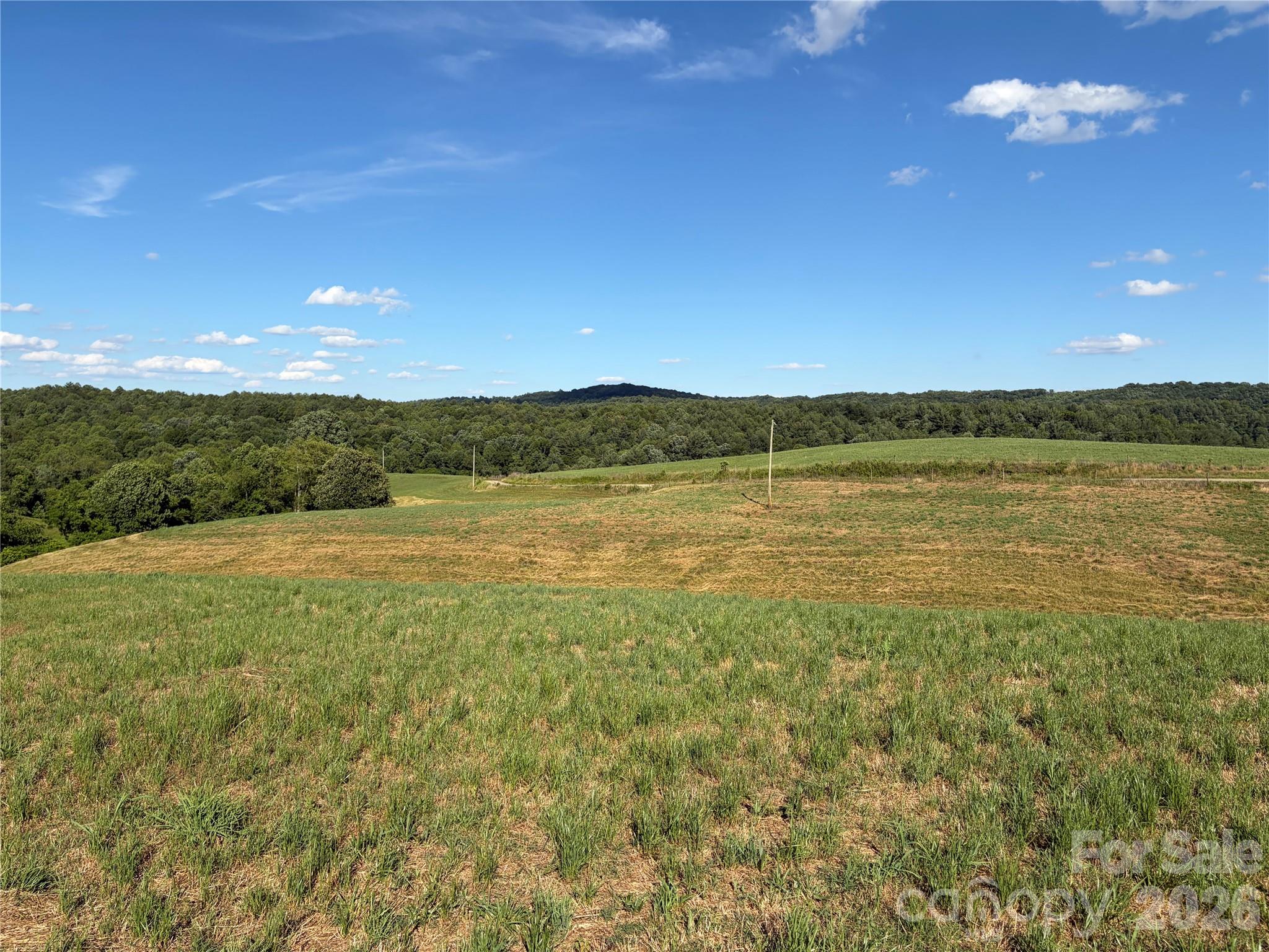 1779 Round Hill Church Road Property Photo 29