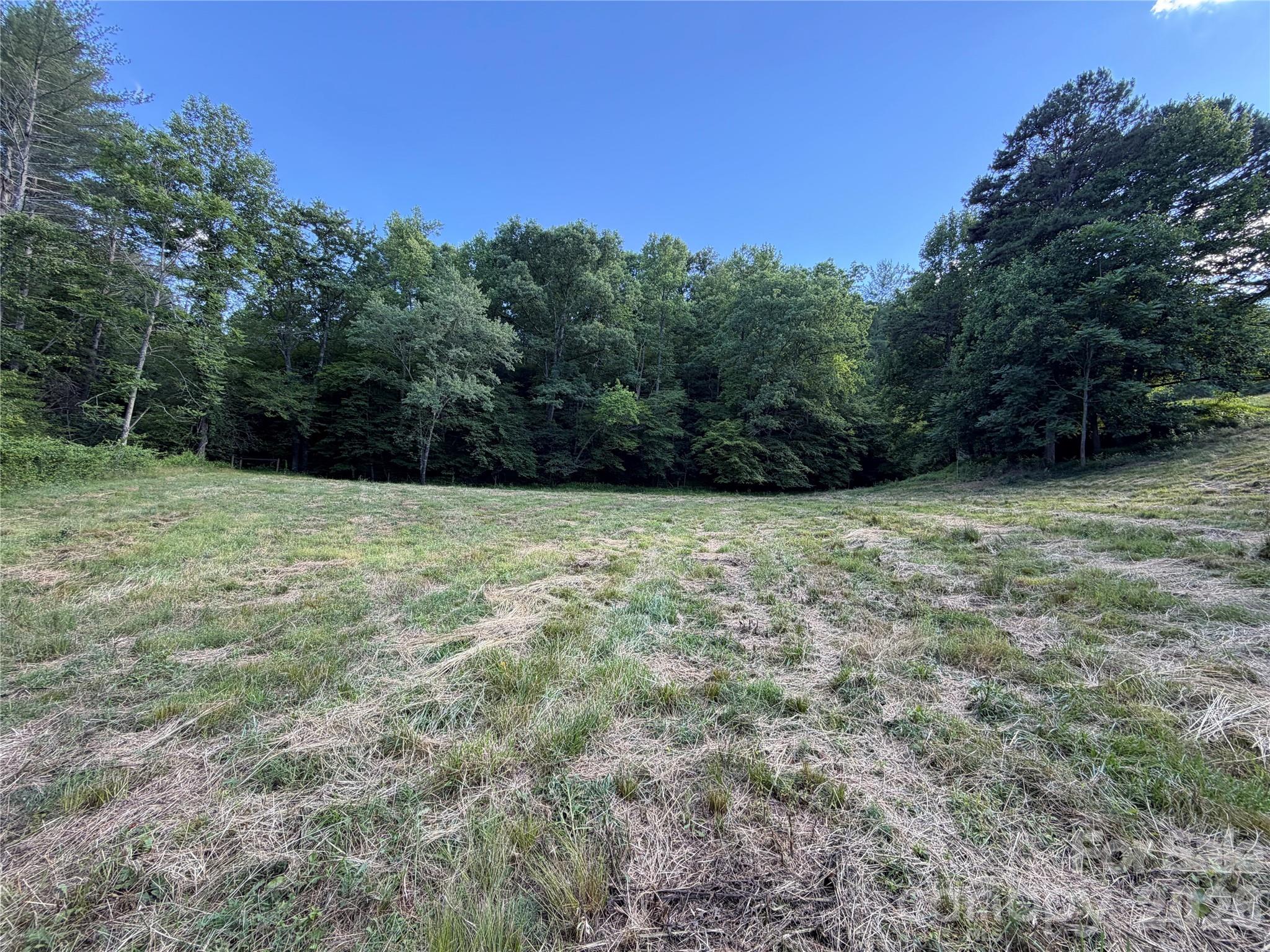 1779 Round Hill Church Road Property Photo 31