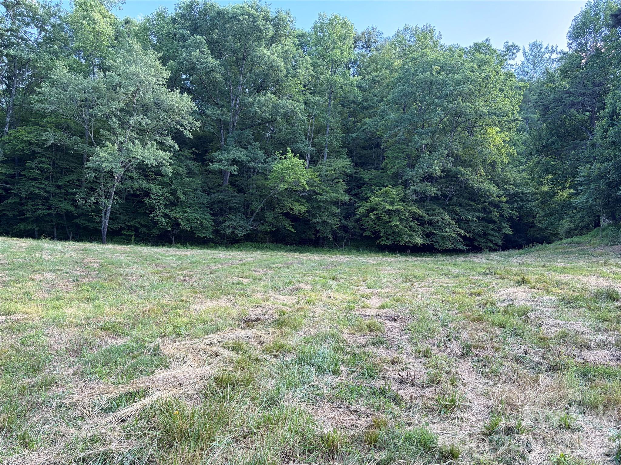 1779 Round Hill Church Road Property Photo 32