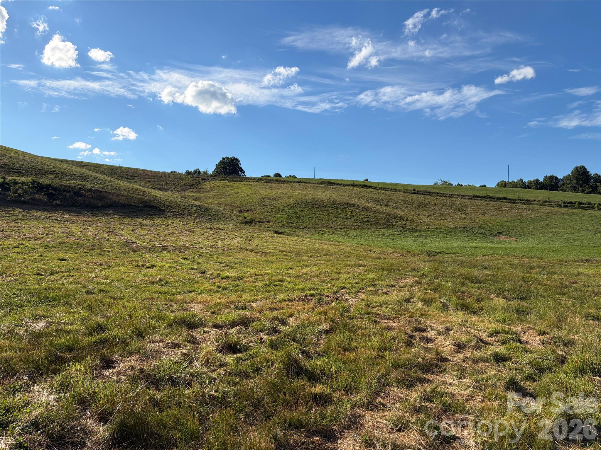 1779 Round Hill Church Road Property Photo 33