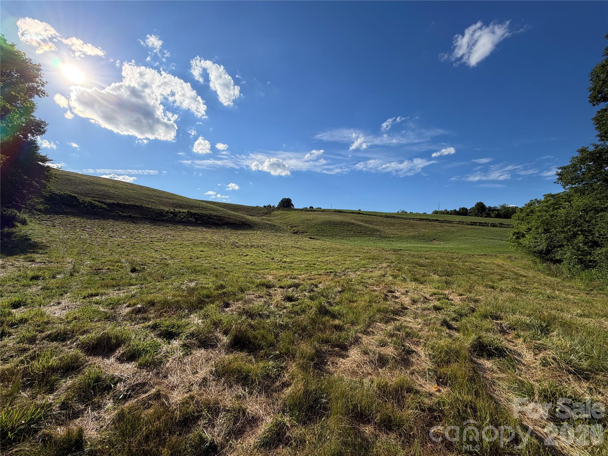1779 Round Hill Church Road Property Photo 34