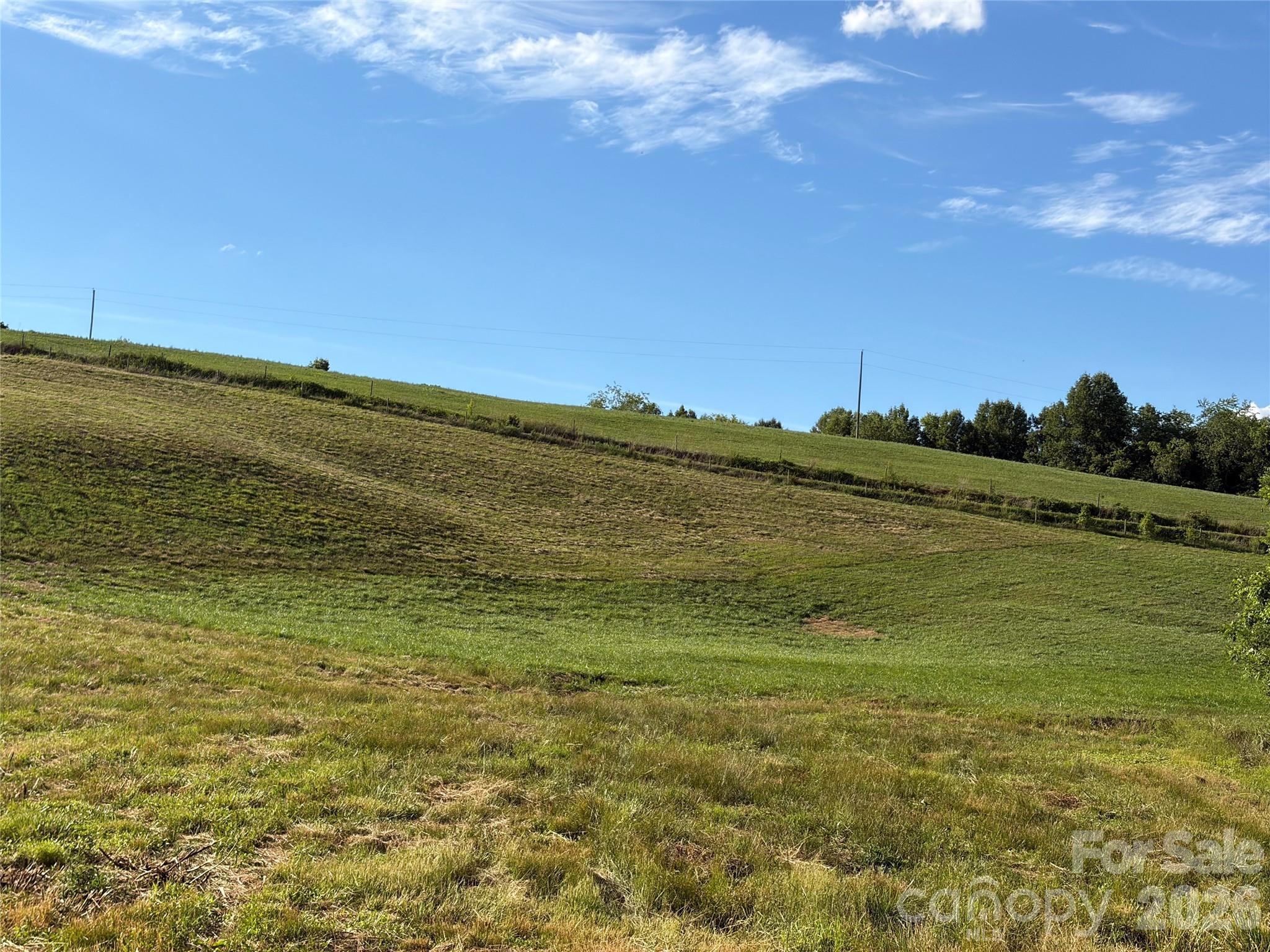 1779 Round Hill Church Road Property Photo 36