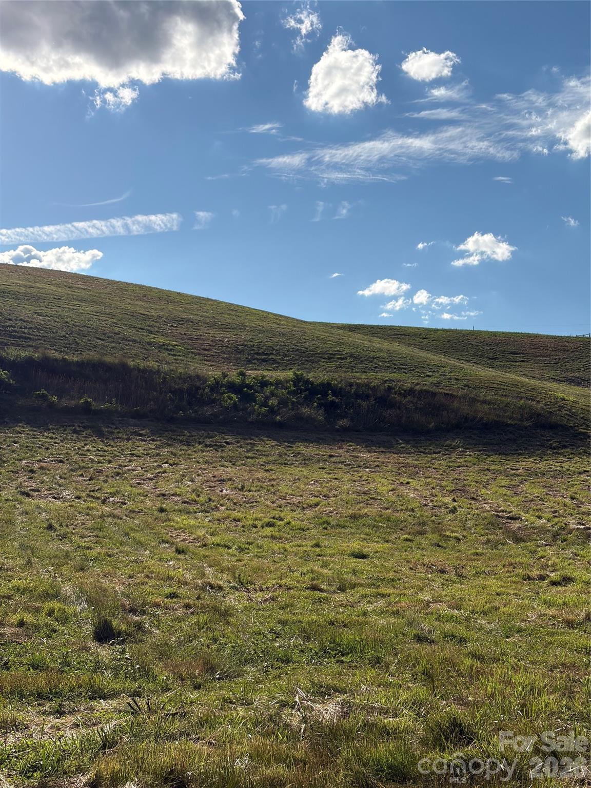 1779 Round Hill Church Road Property Photo 37
