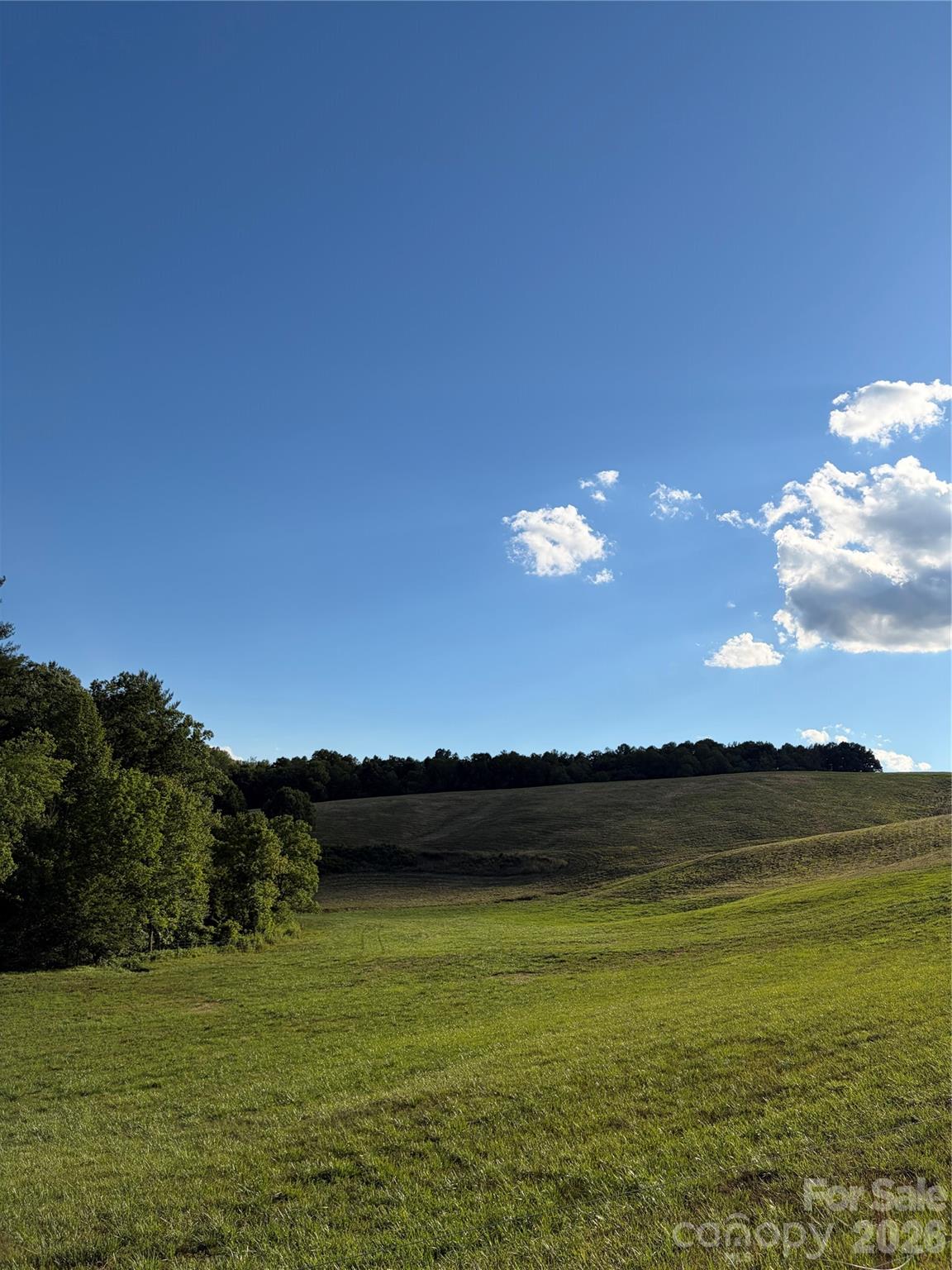 1779 Round Hill Church Road Property Photo 38