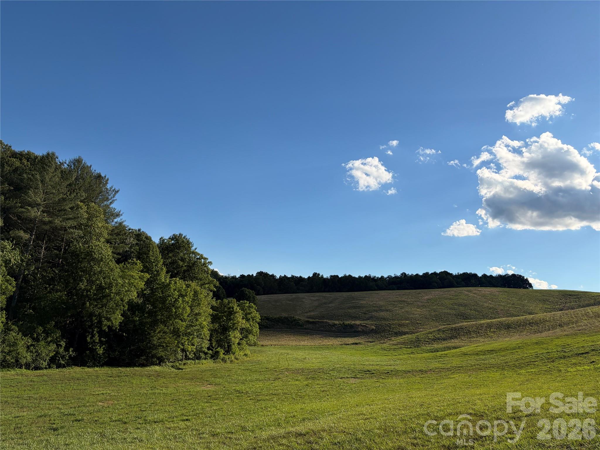 1779 Round Hill Church Road Property Photo 39