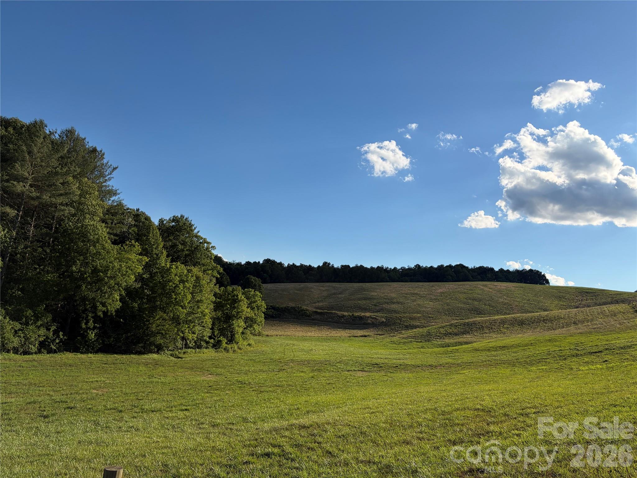 1779 Round Hill Church Road Property Photo 41