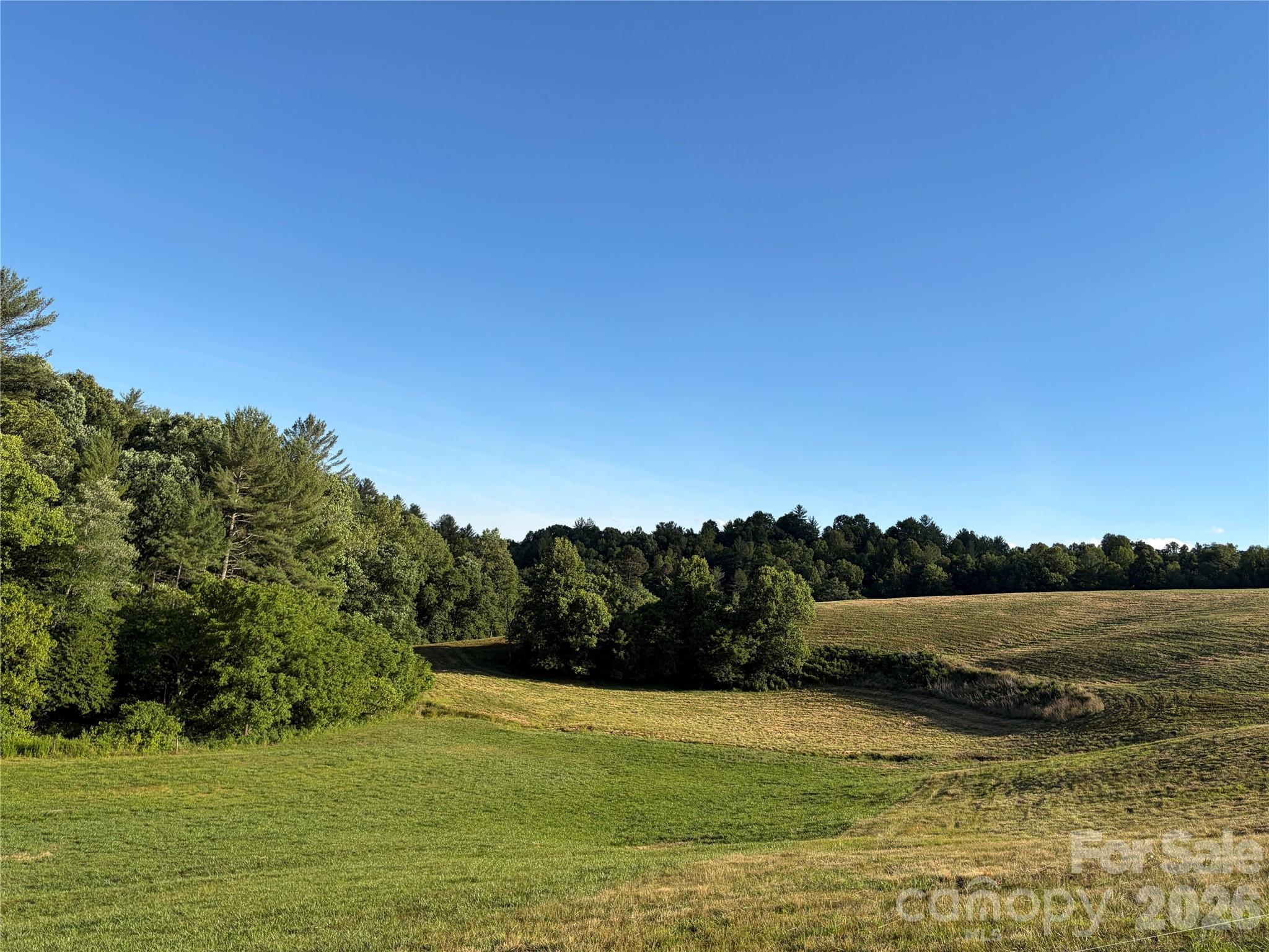 1779 Round Hill Church Road Property Photo 42
