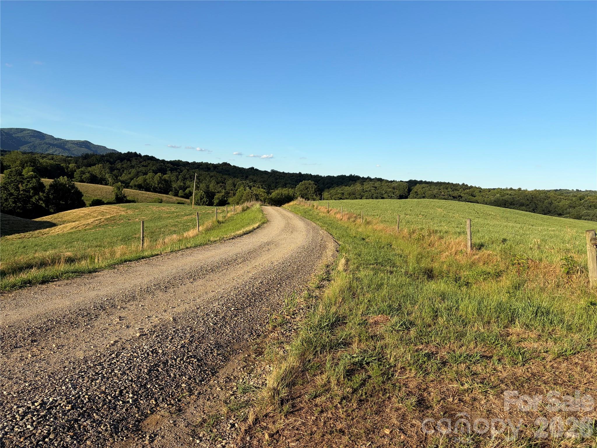 1779 Round Hill Church Road Property Photo 43