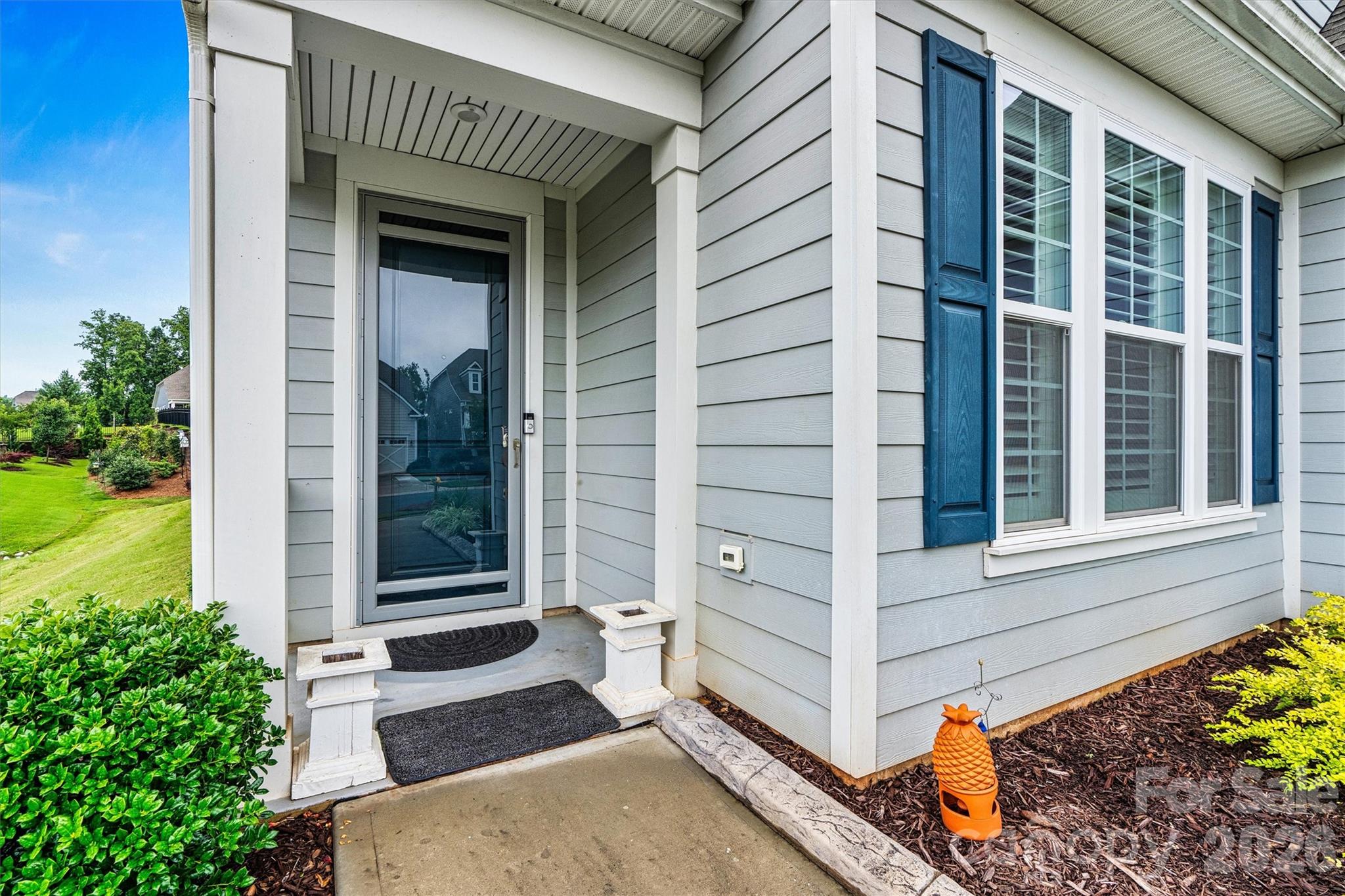 7362 Overjoyed Crossing Property Photo 44