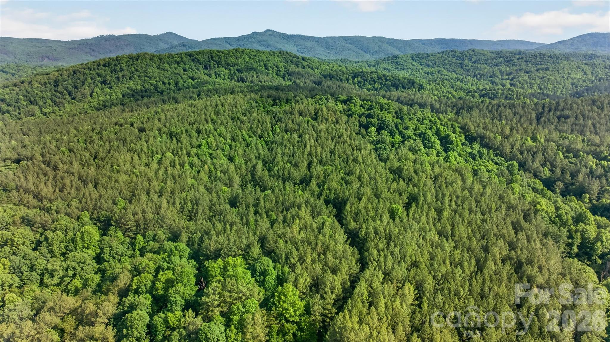 485 Frog Creek Road Property Photo 2