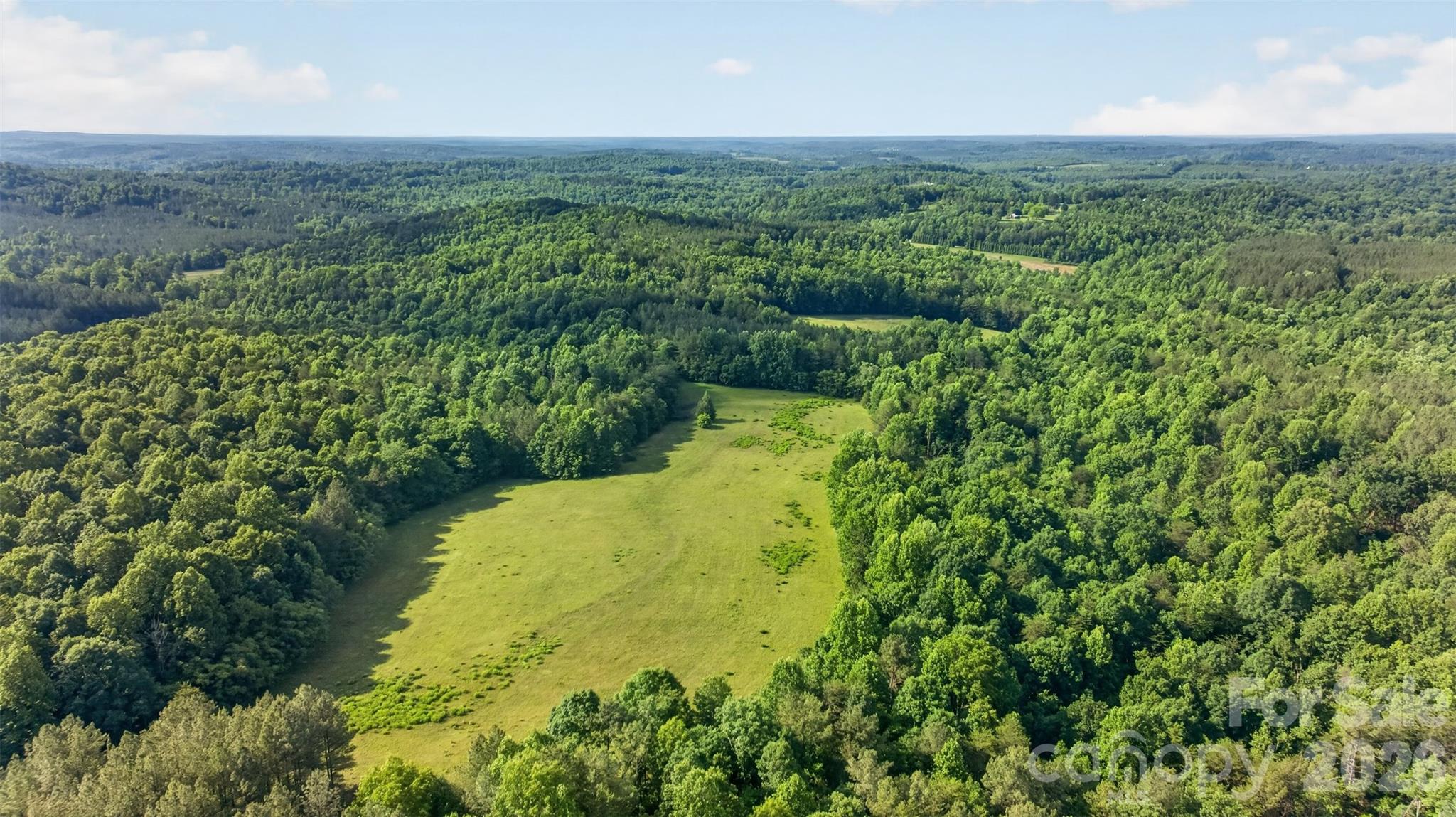 485 Frog Creek Road Property Photo 5