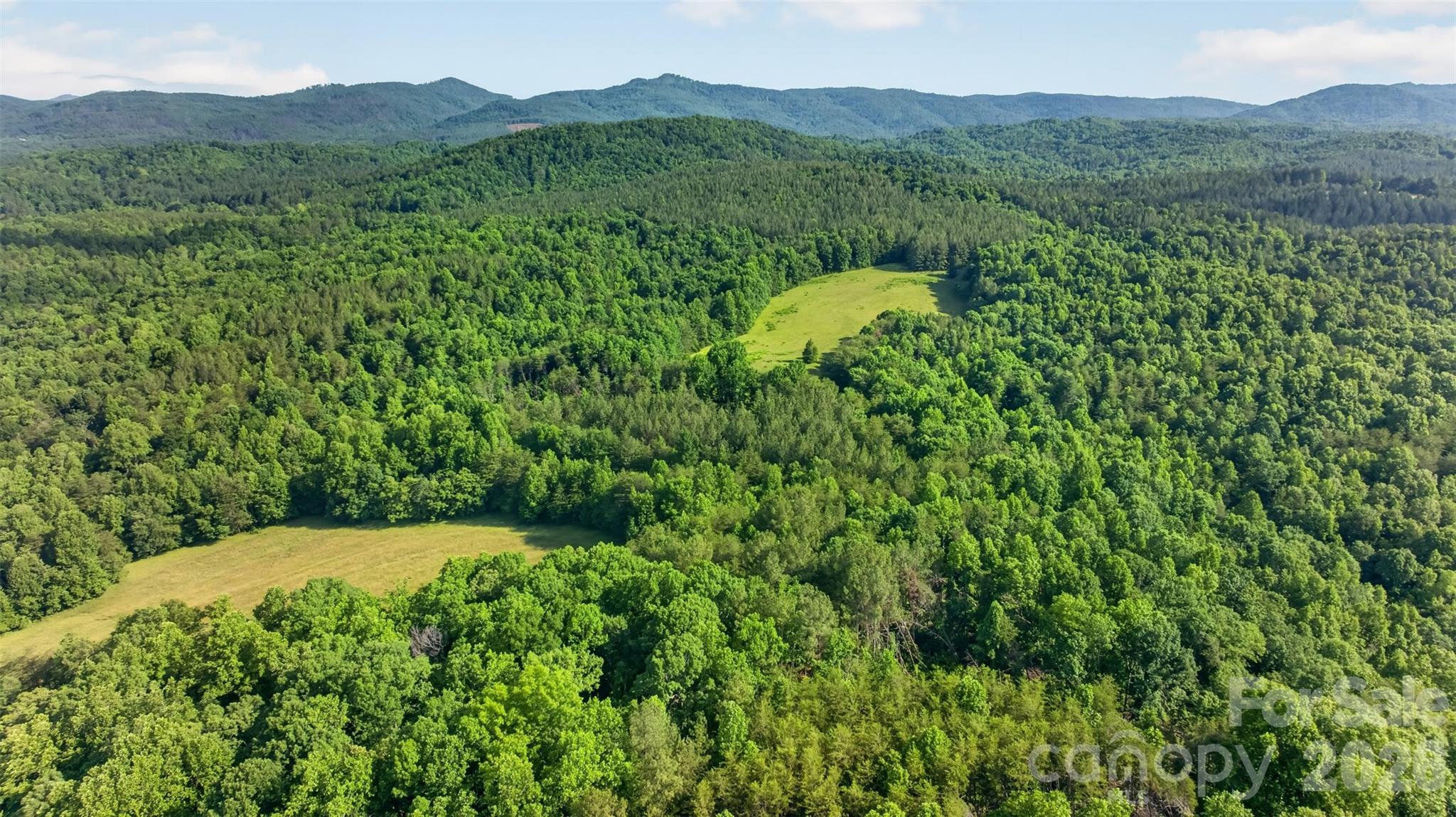 485 Frog Creek Road Property Photo 7