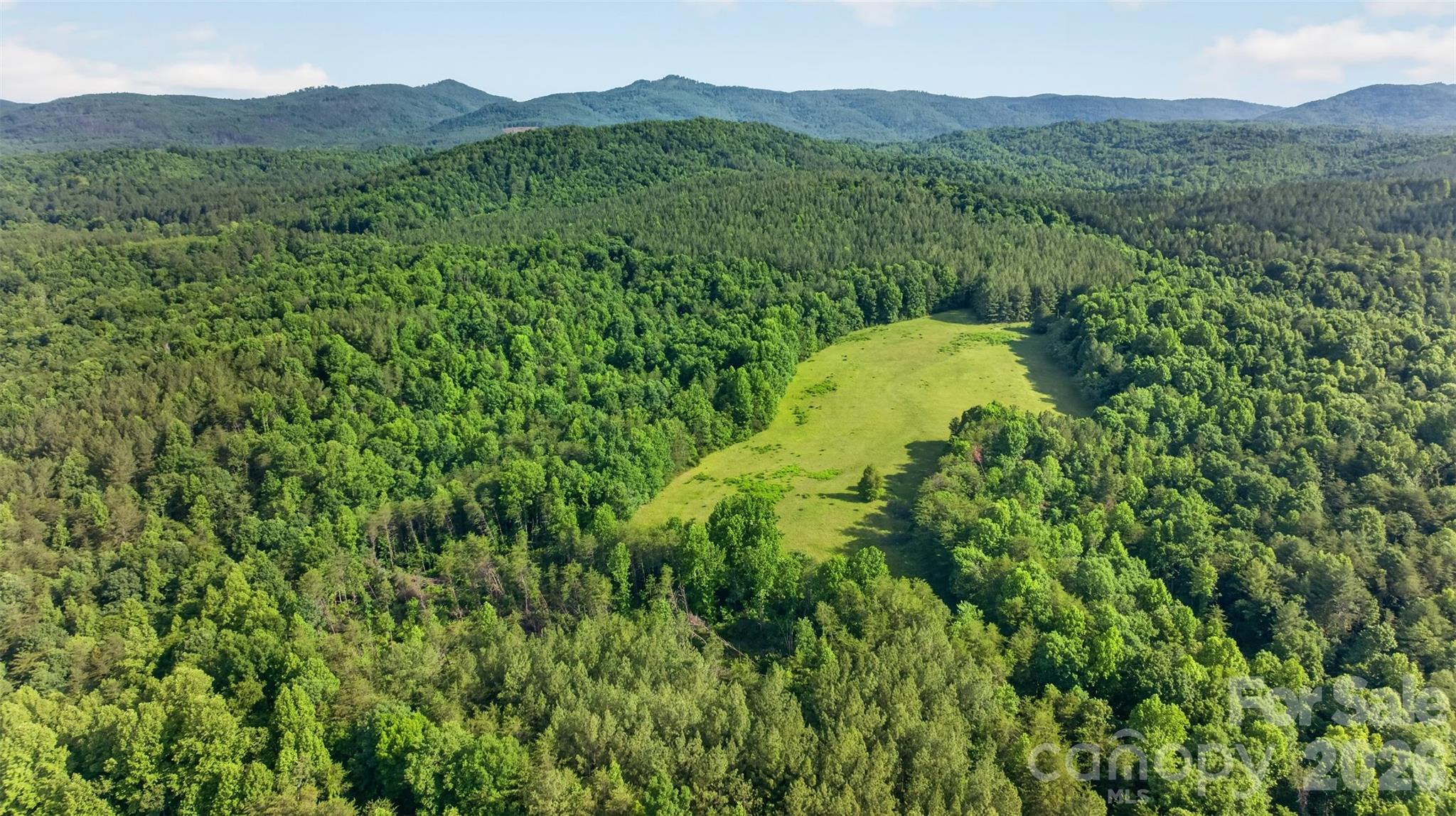 485 Frog Creek Road Property Photo 8