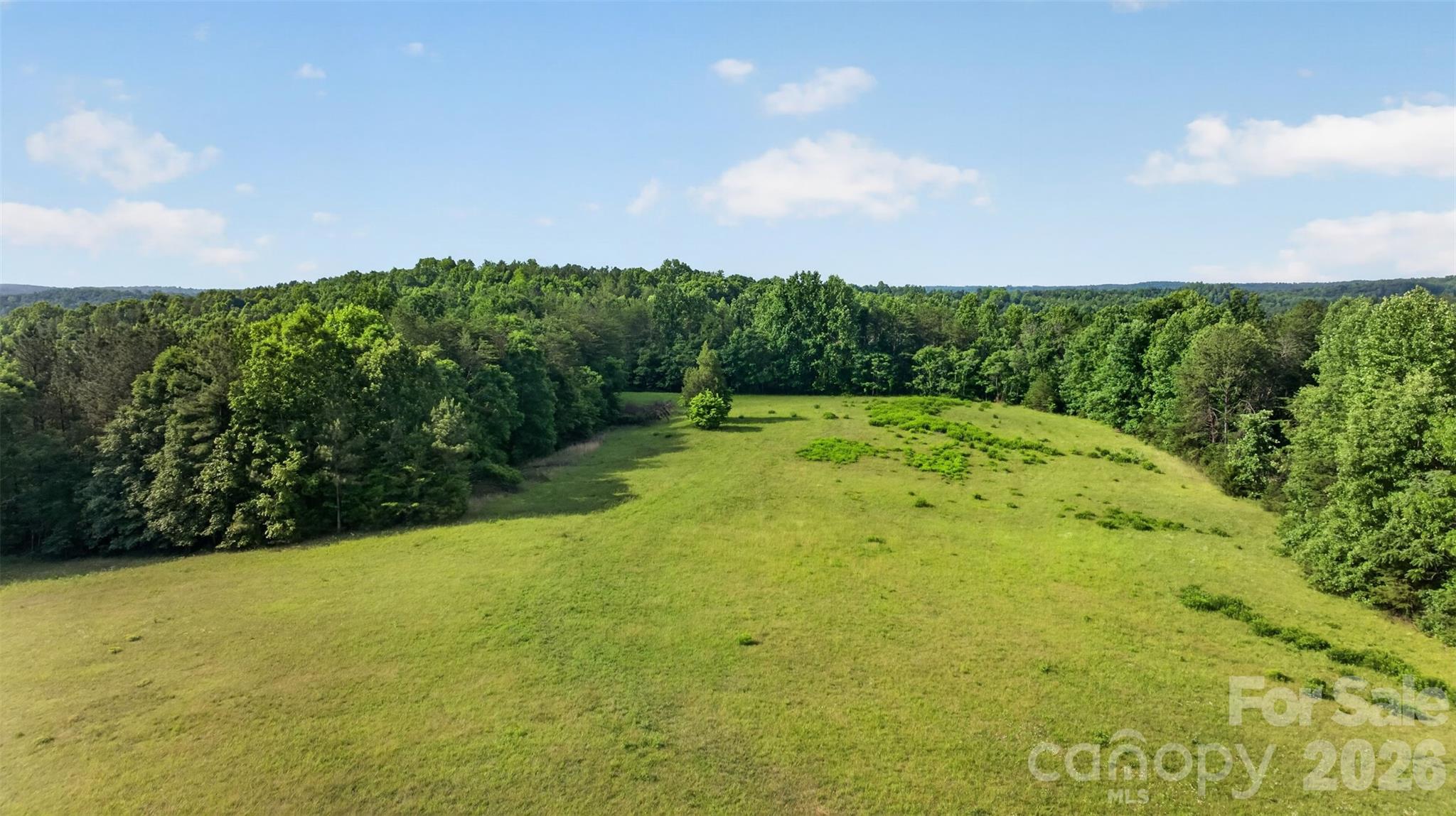 485 Frog Creek Road Property Photo 9