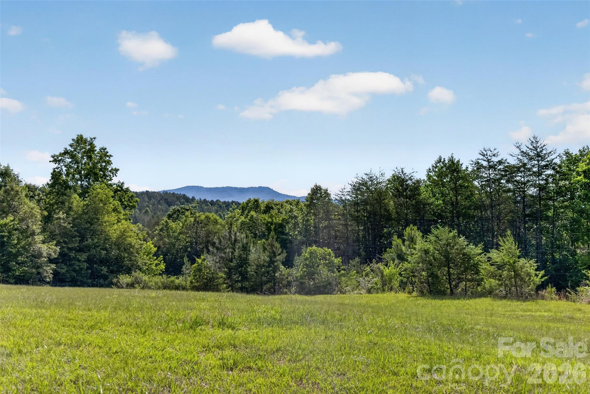 485 Frog Creek Road Property Photo 15