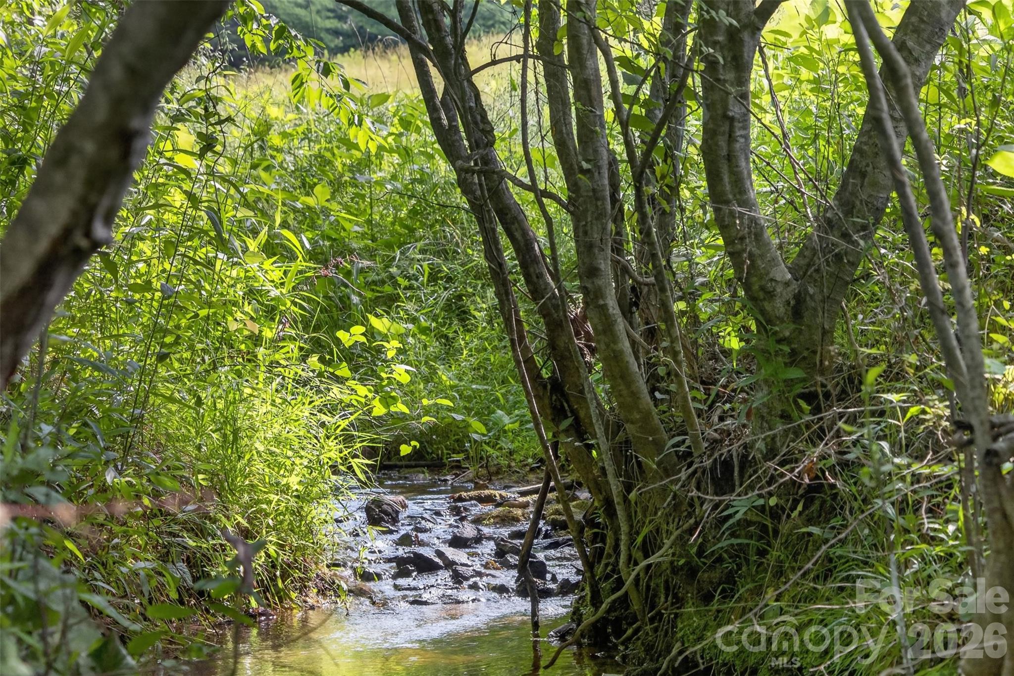 485 Frog Creek Road Property Photo 17