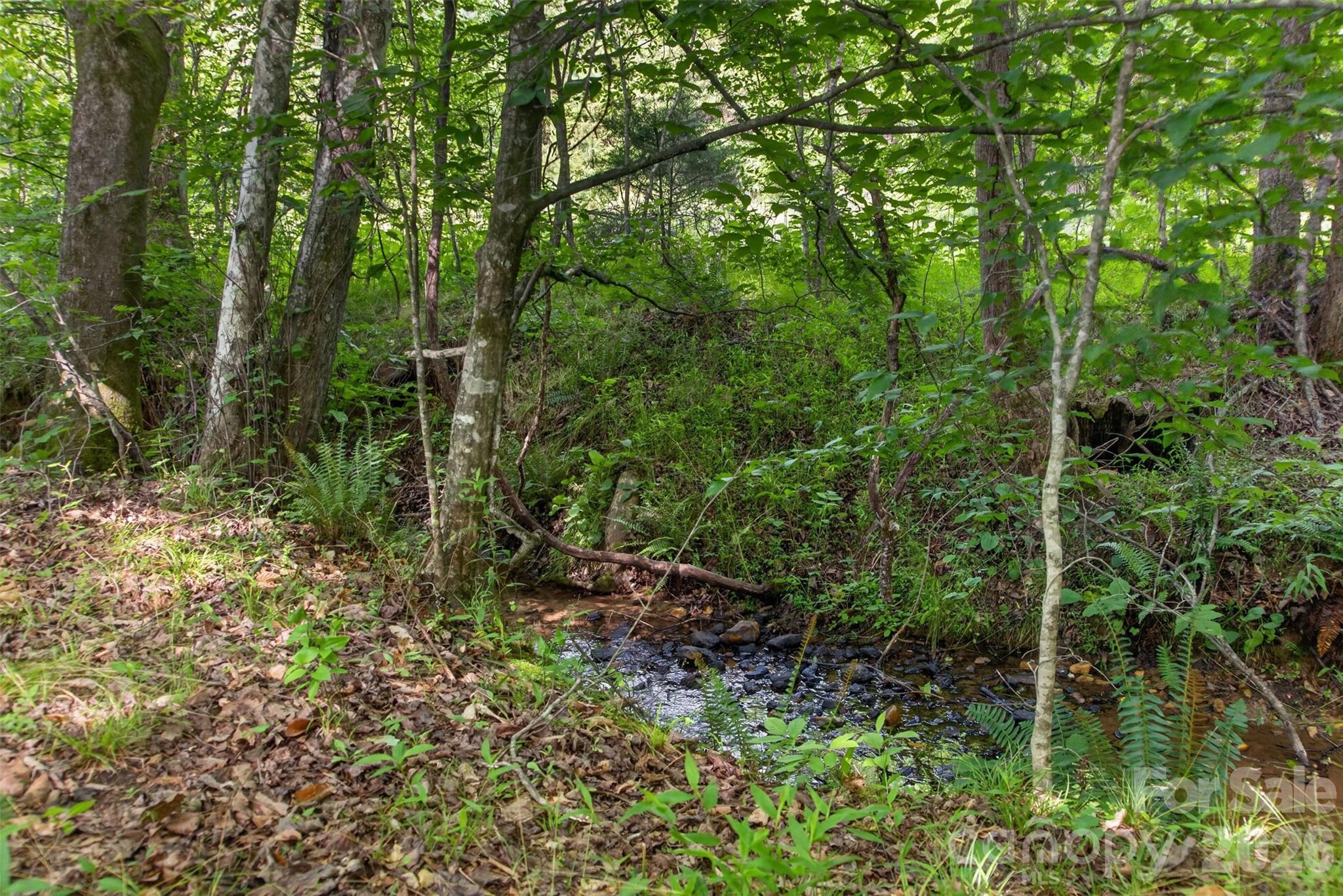485 Frog Creek Road Property Photo 18