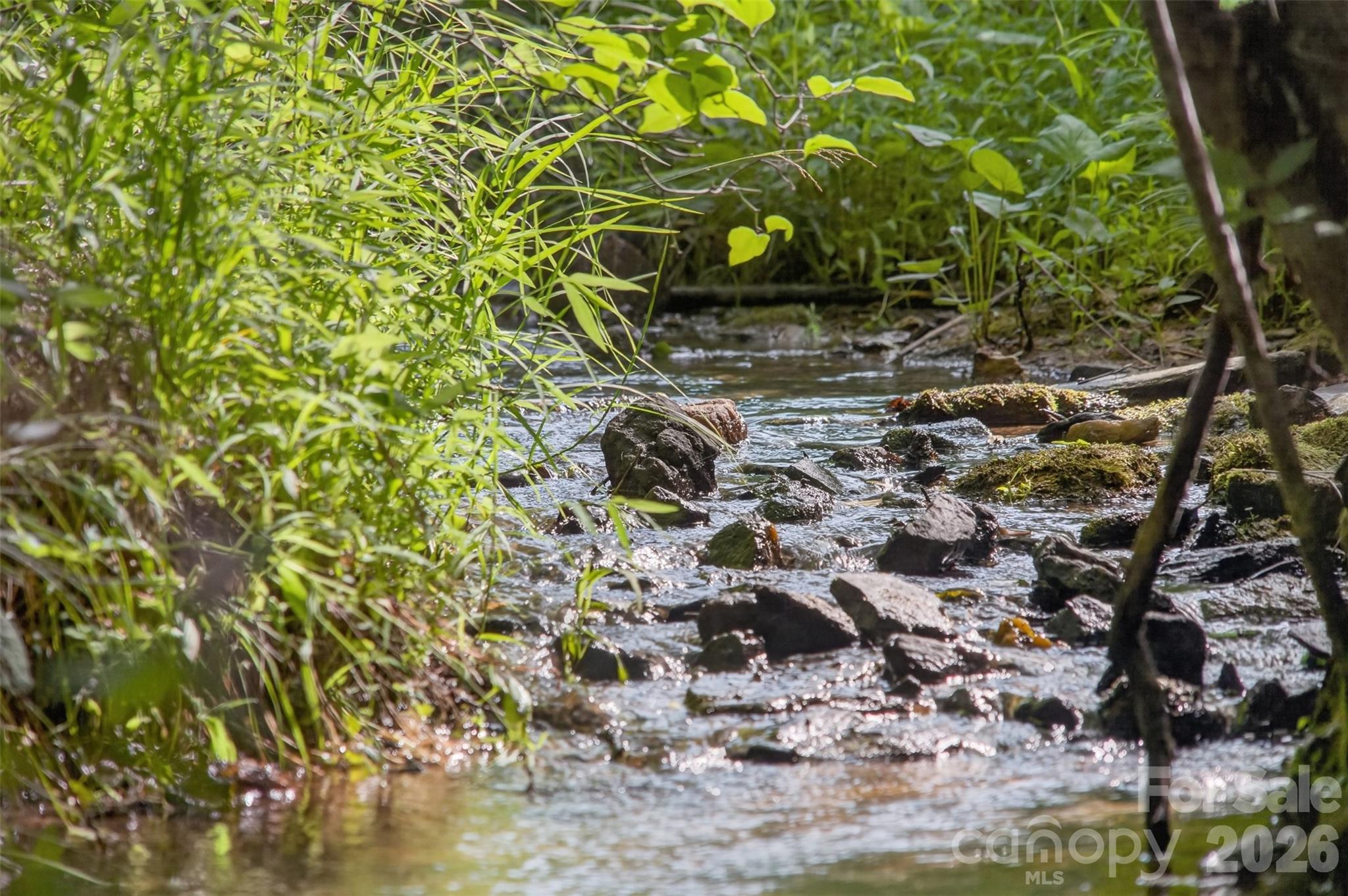485 Frog Creek Road Property Photo 20