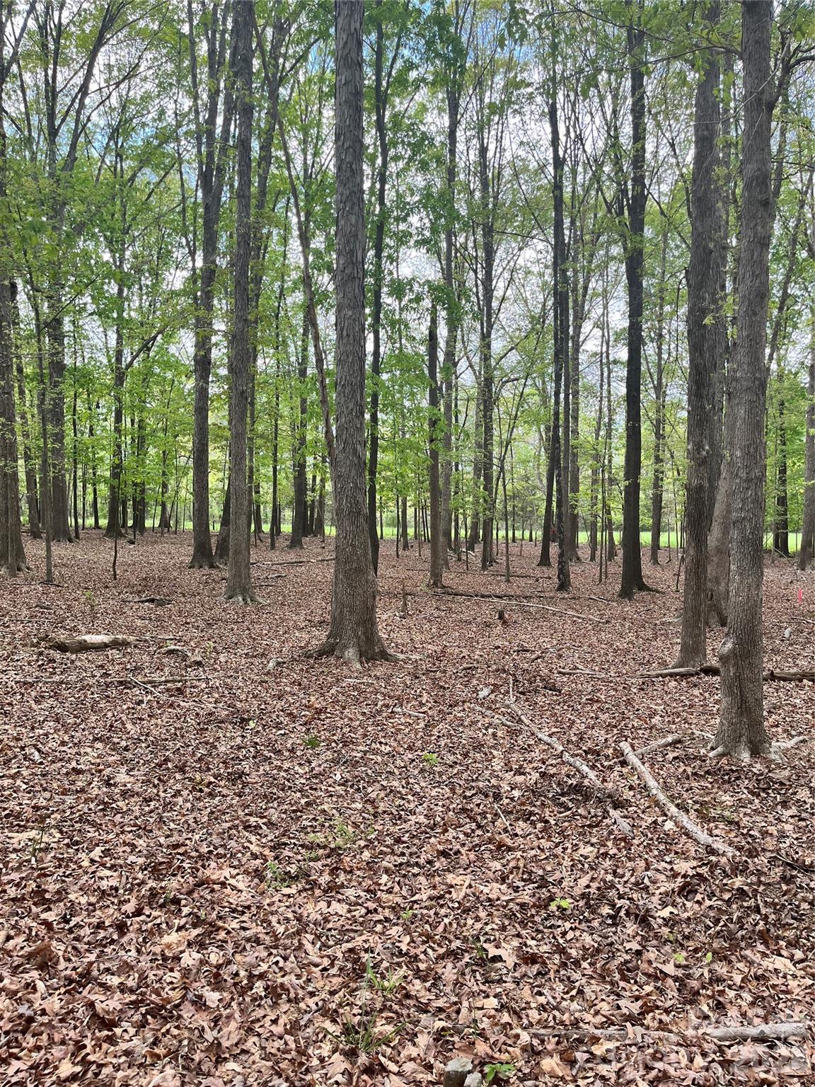 001 Wolf Pond Road Property Photo 1