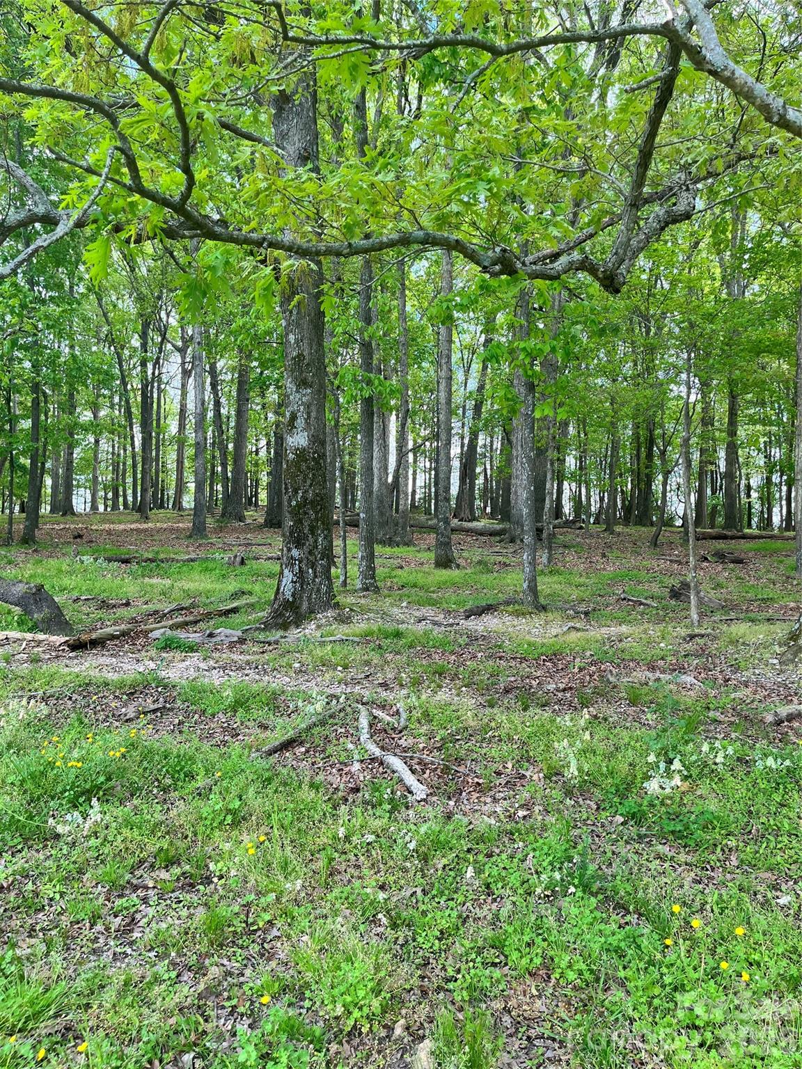 001 Wolf Pond Road Property Photo 2