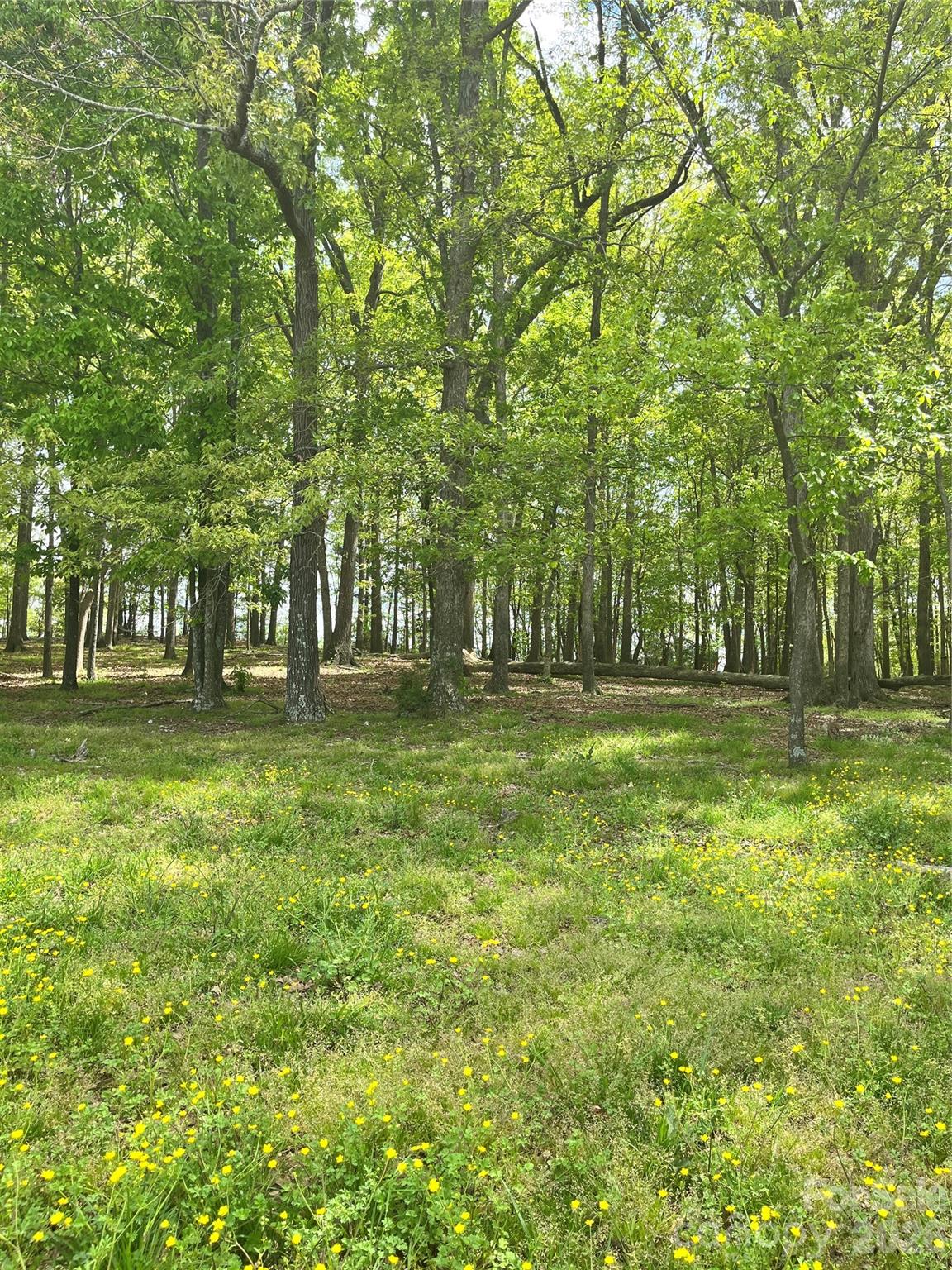 001 Wolf Pond Road Property Photo 3