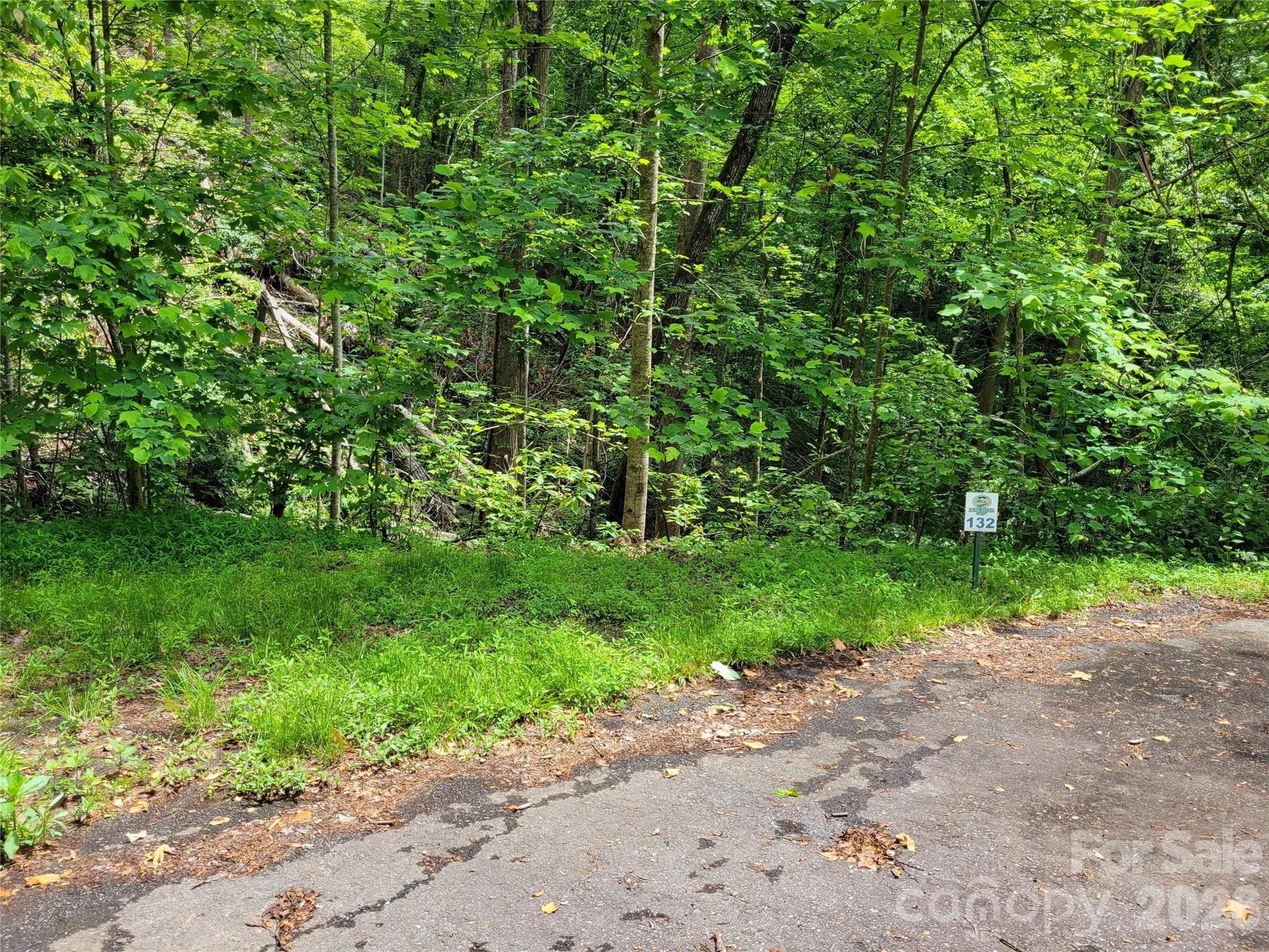 Tbd Bear River Lodge Trail 124 Property Photo 6