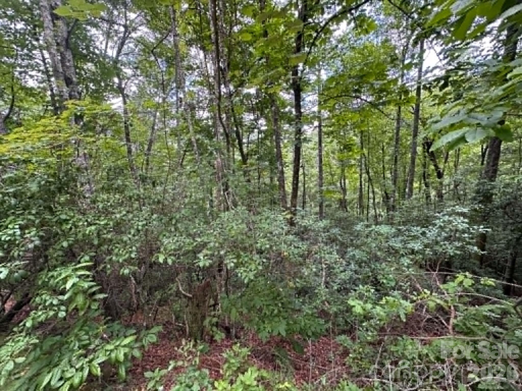Lot 26 Pleasant View Drive Property Photo 3