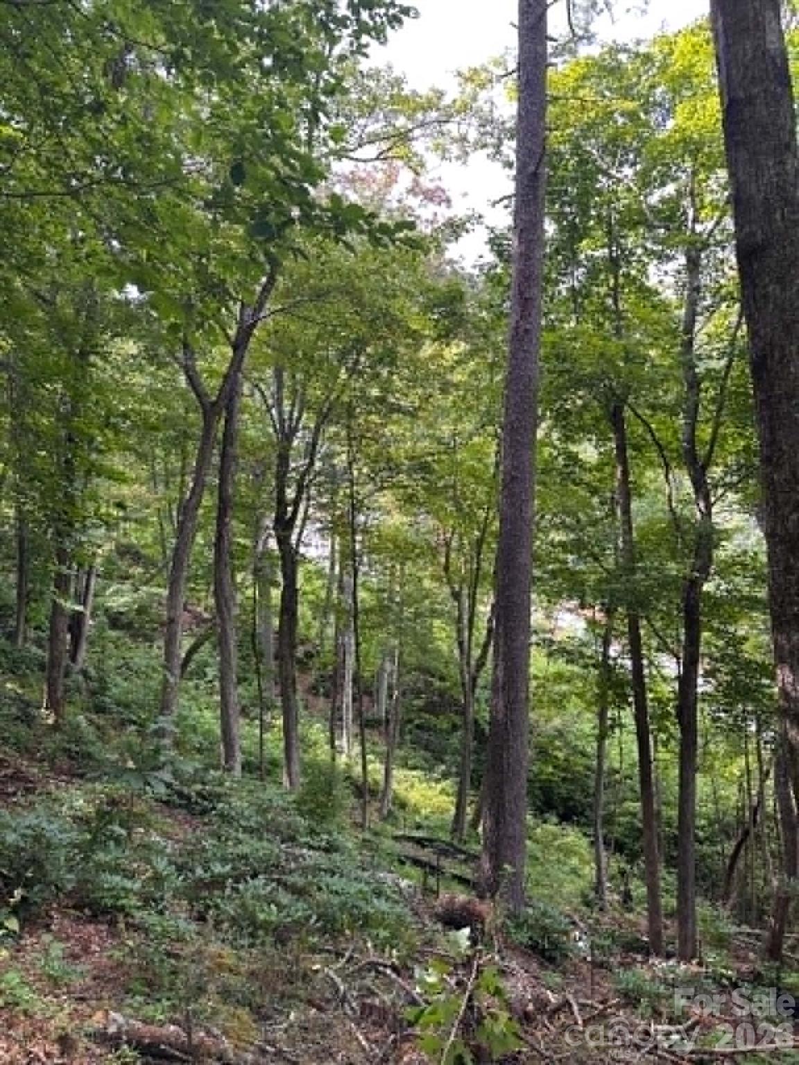Lot 26 Pleasant View Drive Property Photo 4
