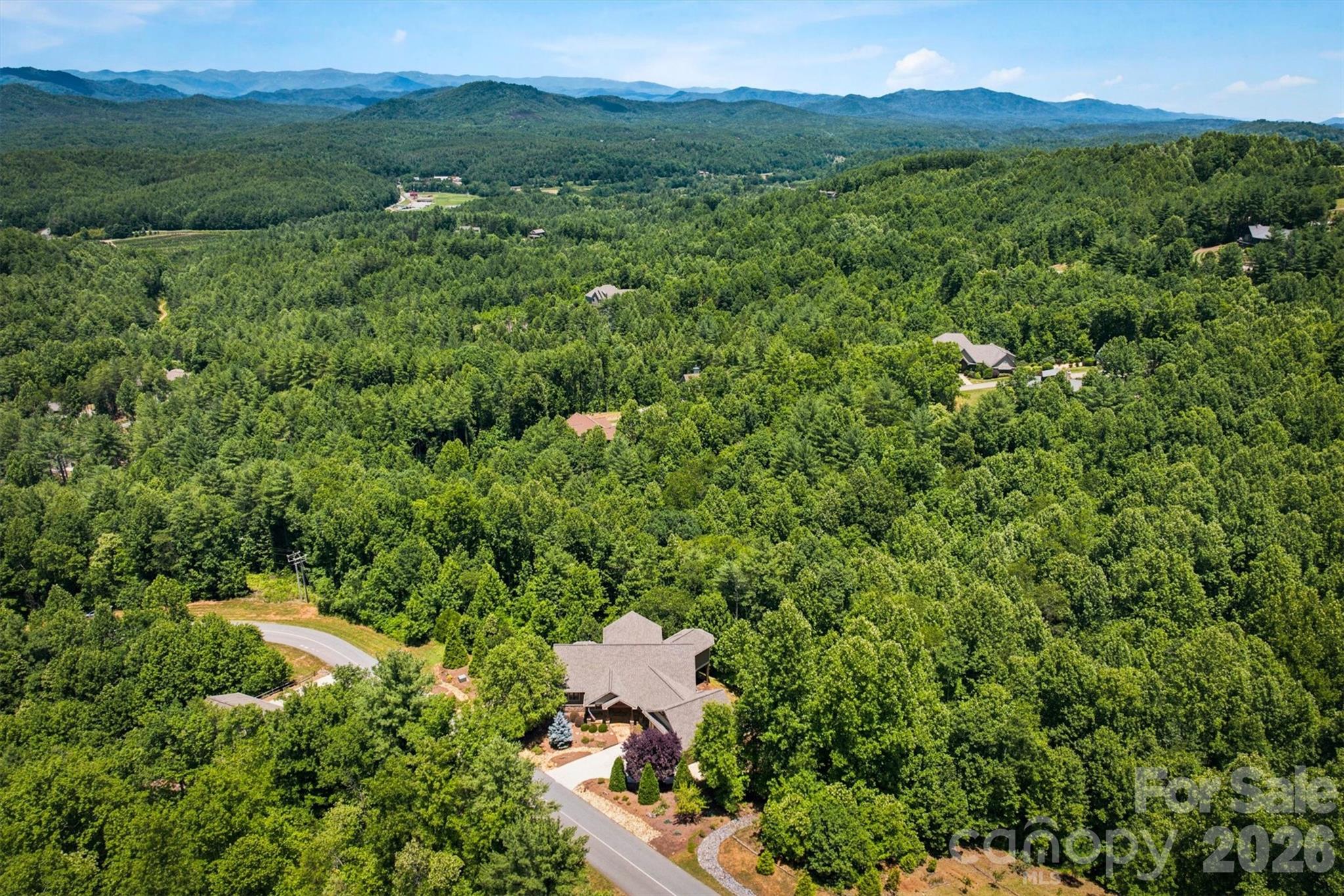 1167 Johns Ridge Parkway Property Photo 3