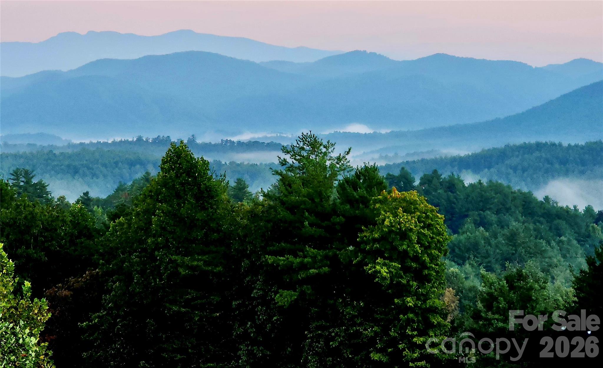 1167 Johns Ridge Parkway Property Photo 15