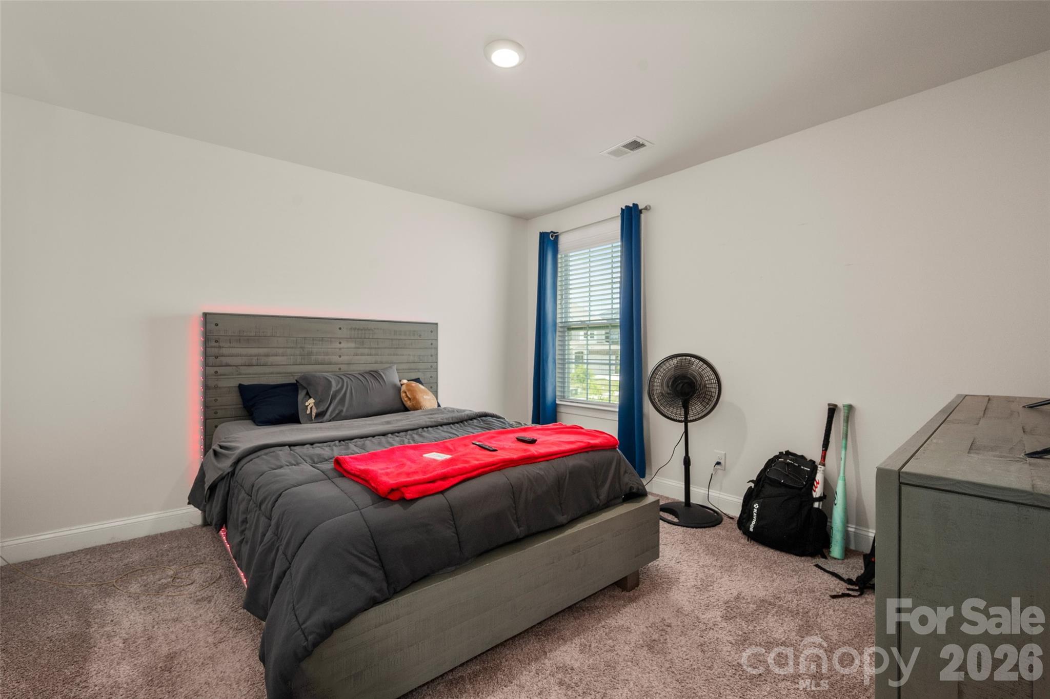 4223 Cherry Mill Court Property Photo 33