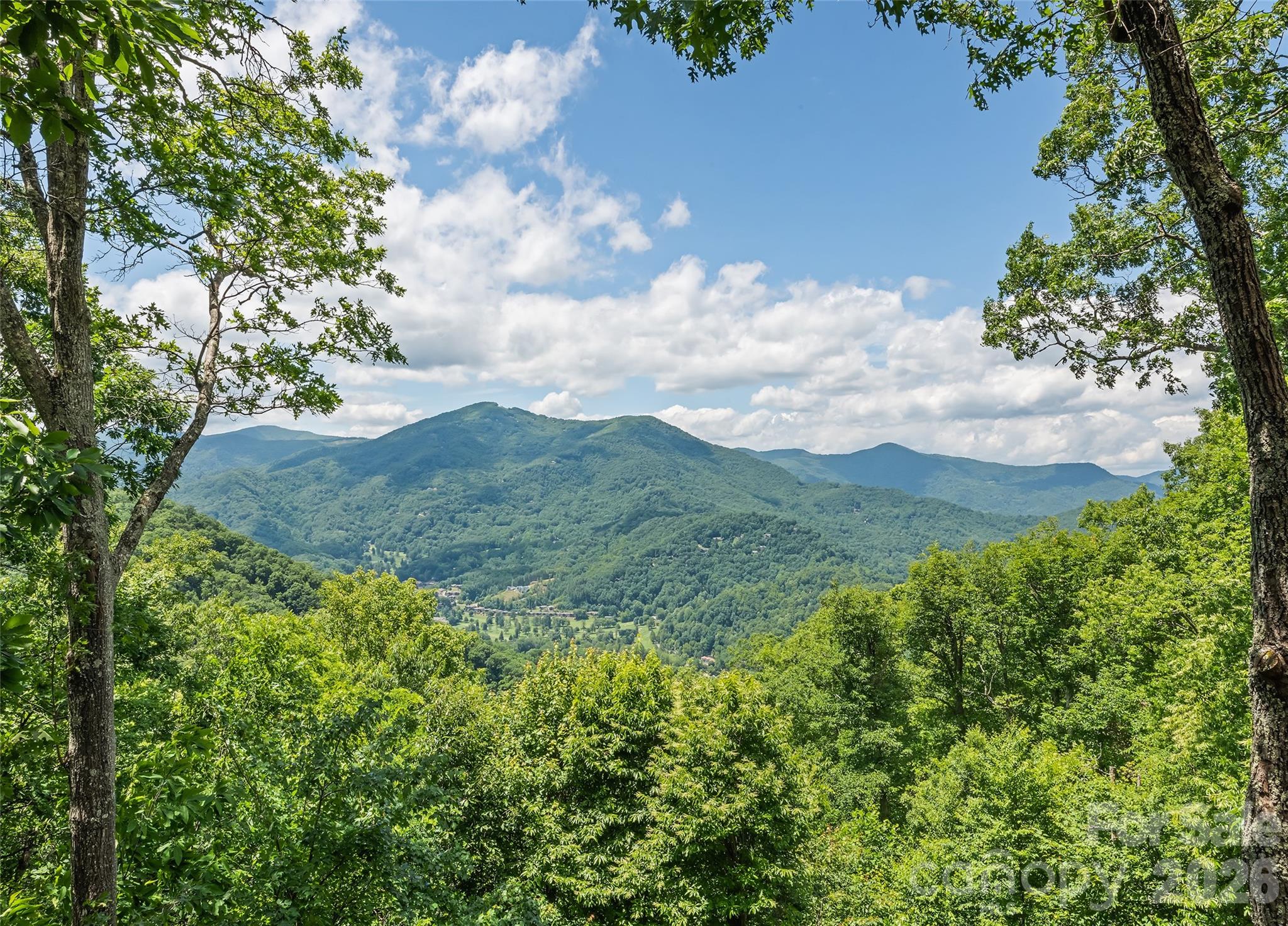 207 Walela Trail Property Photo 42
