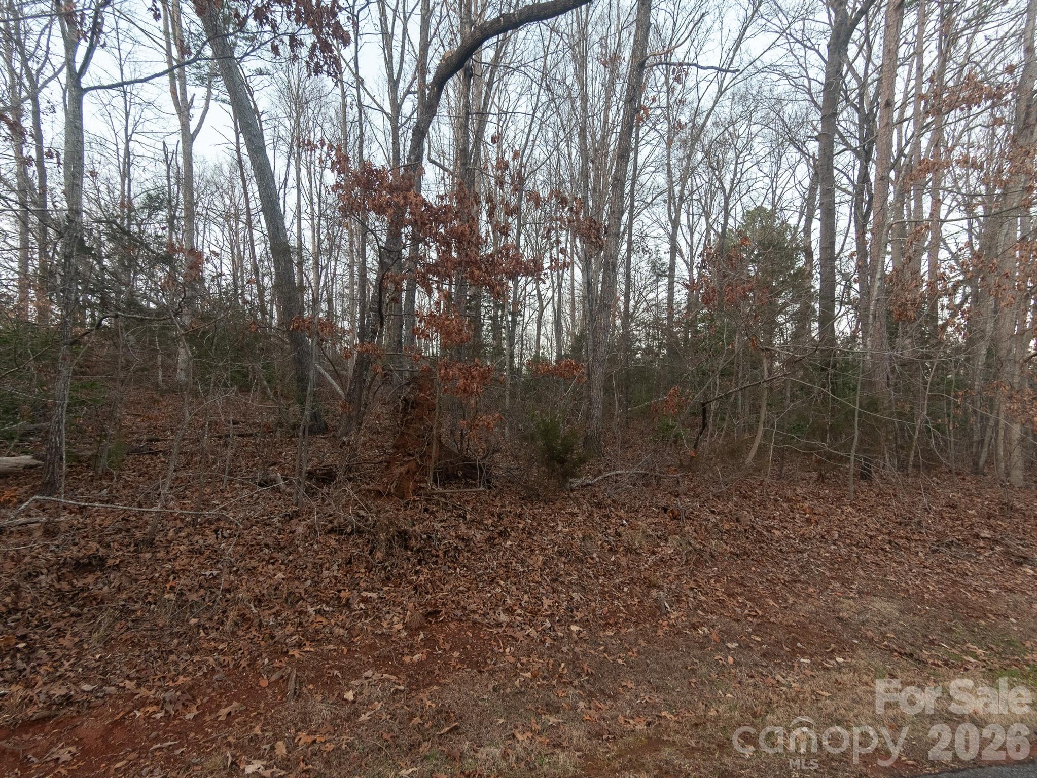 0 Plantation Drive Property Photo 5