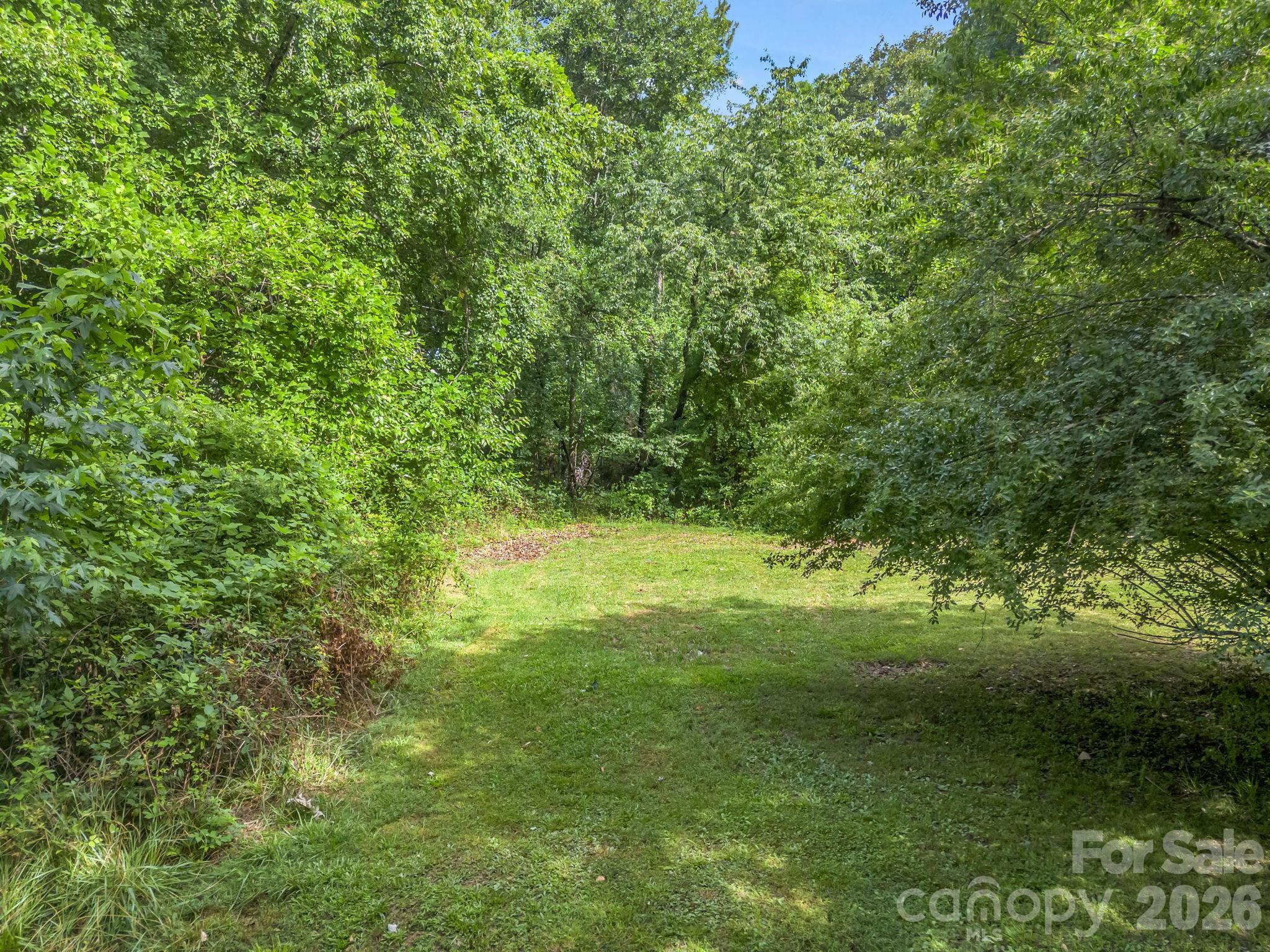 126 Bittle Street Property Photo 23