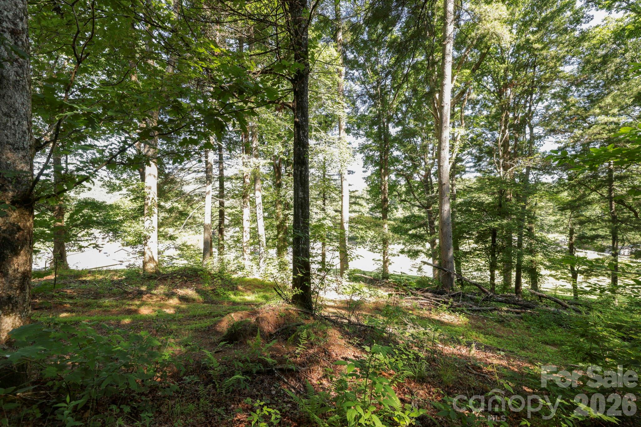 Tbd Big Valley Road Property Photo 8