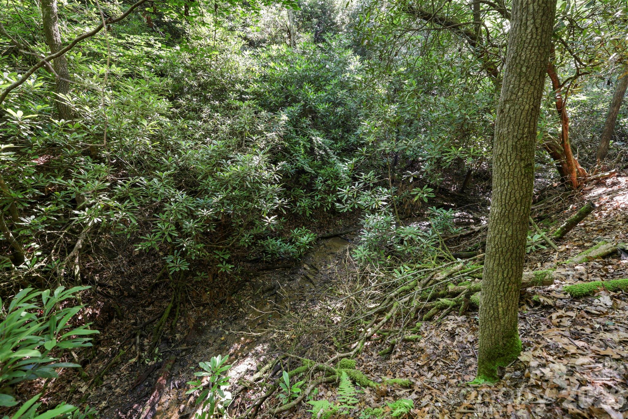 Tbd Big Valley Road Property Photo 10