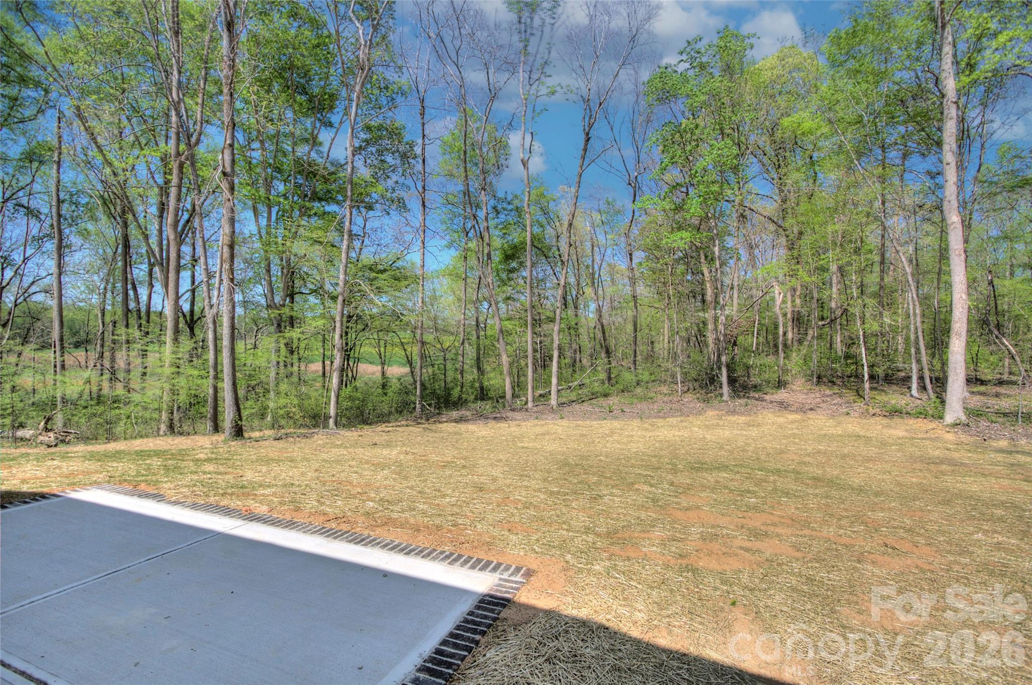 1033 Harrogate Drive Property Photo 33
