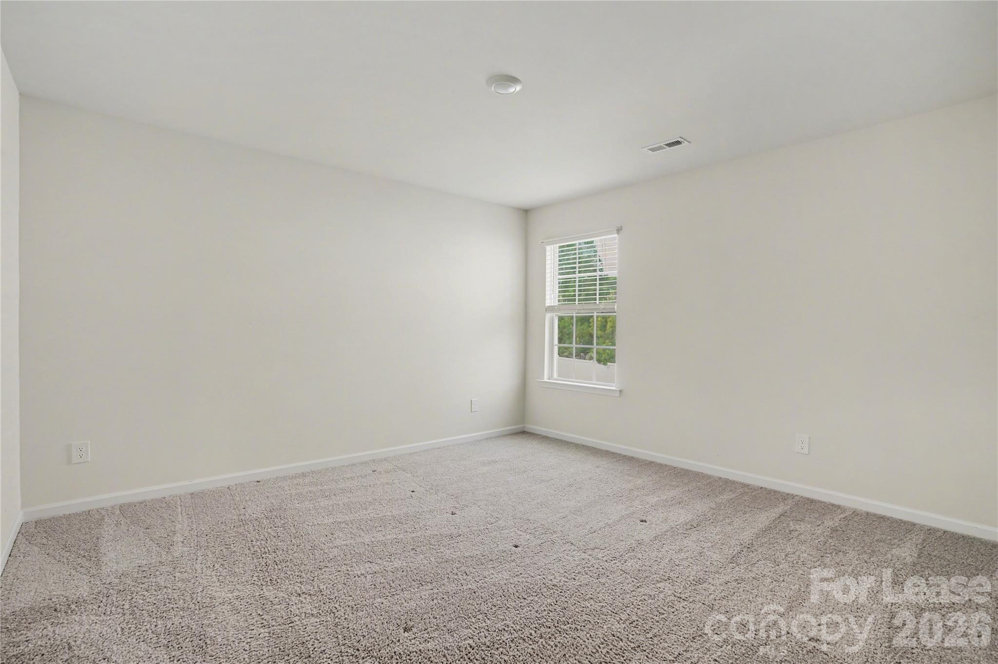 4396062 Property Photo 25
