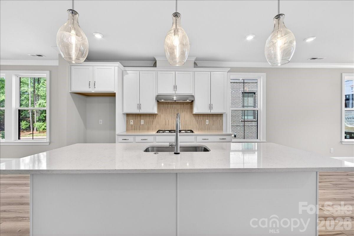 12015 Elsa Lane Property Photo 19