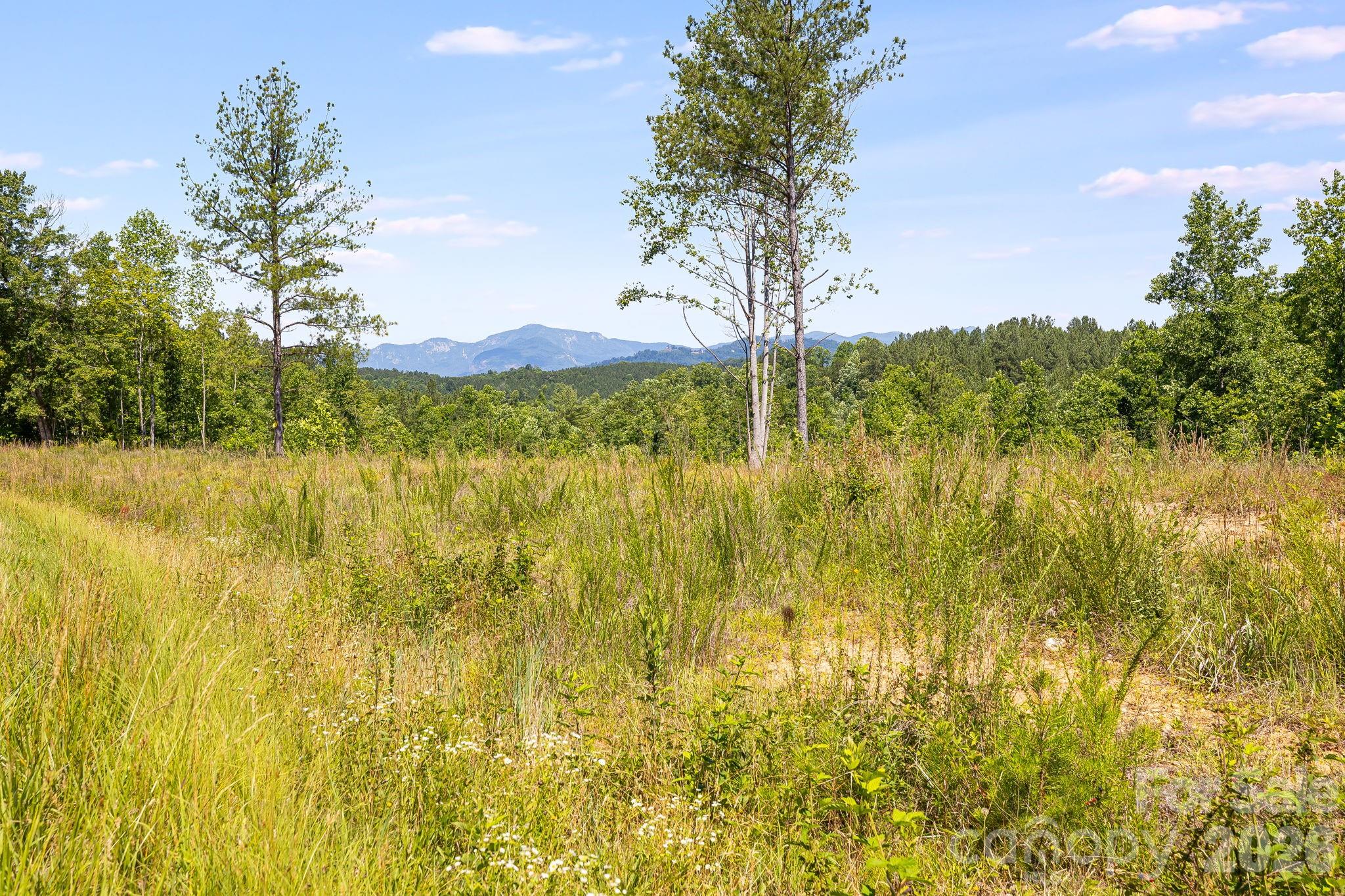 Lot #2 Clark Road Property Photo 1