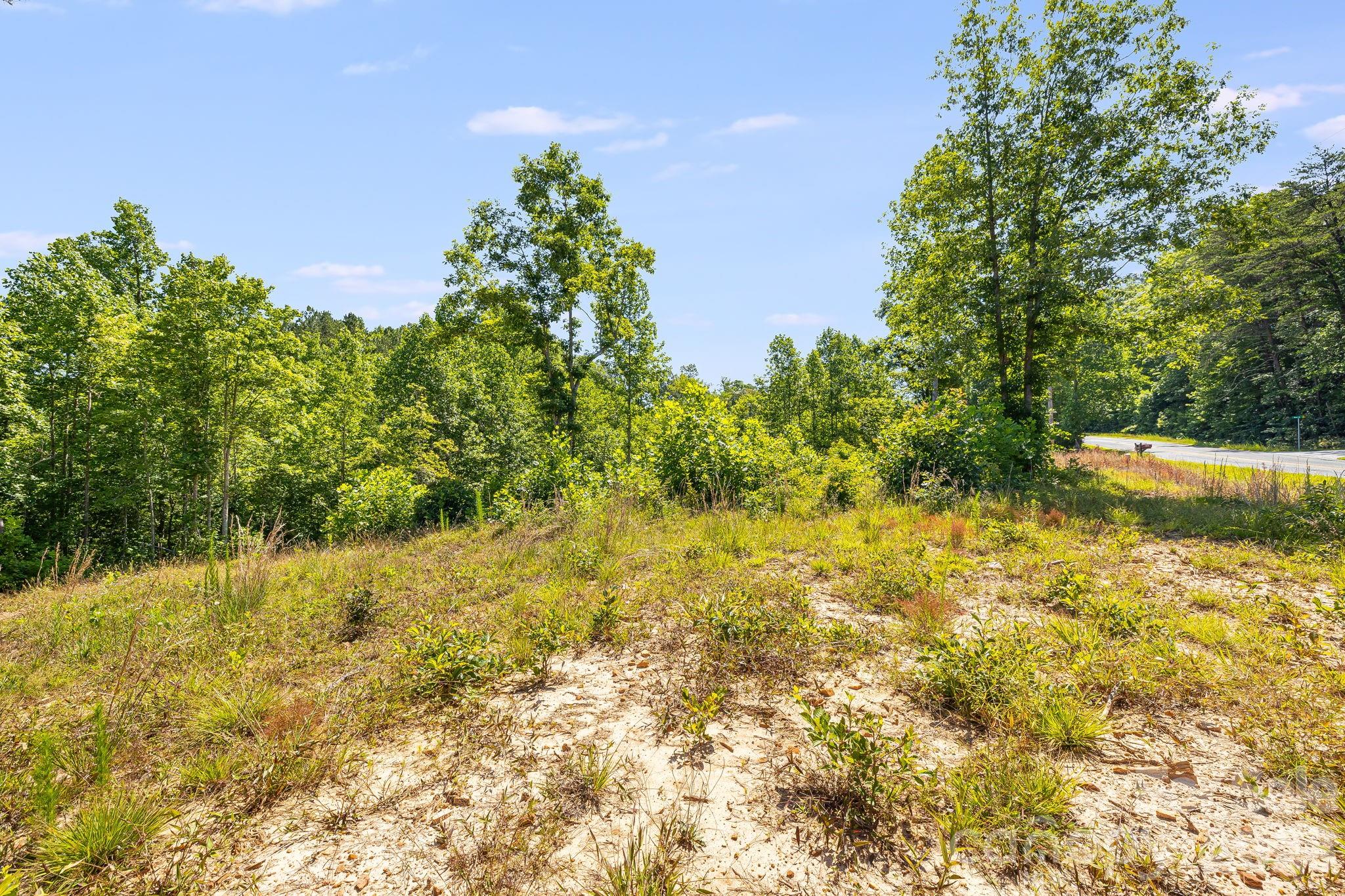Lot #2 Clark Road Property Photo 10
