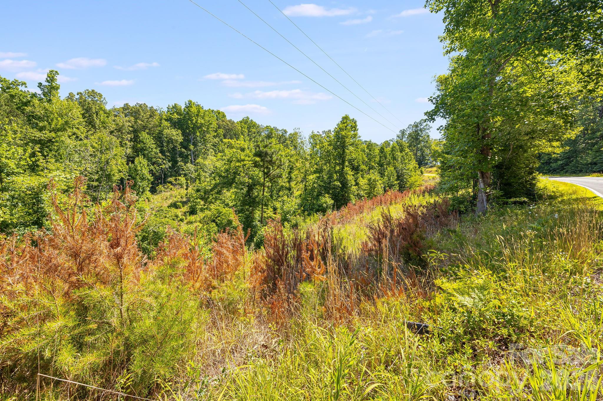 Lot #2 Clark Road Property Photo 11