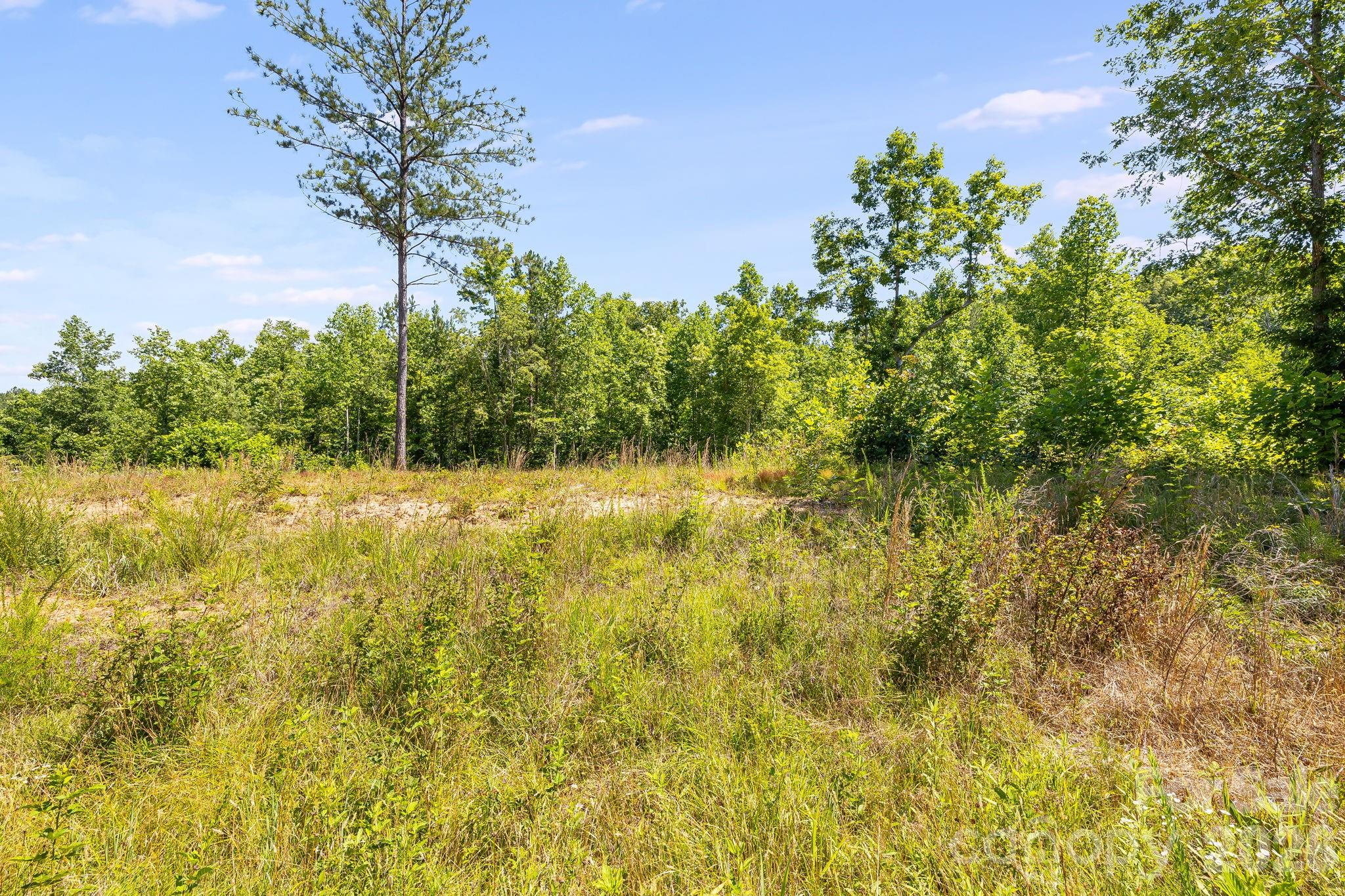 Lot #2 Clark Road Property Photo 12