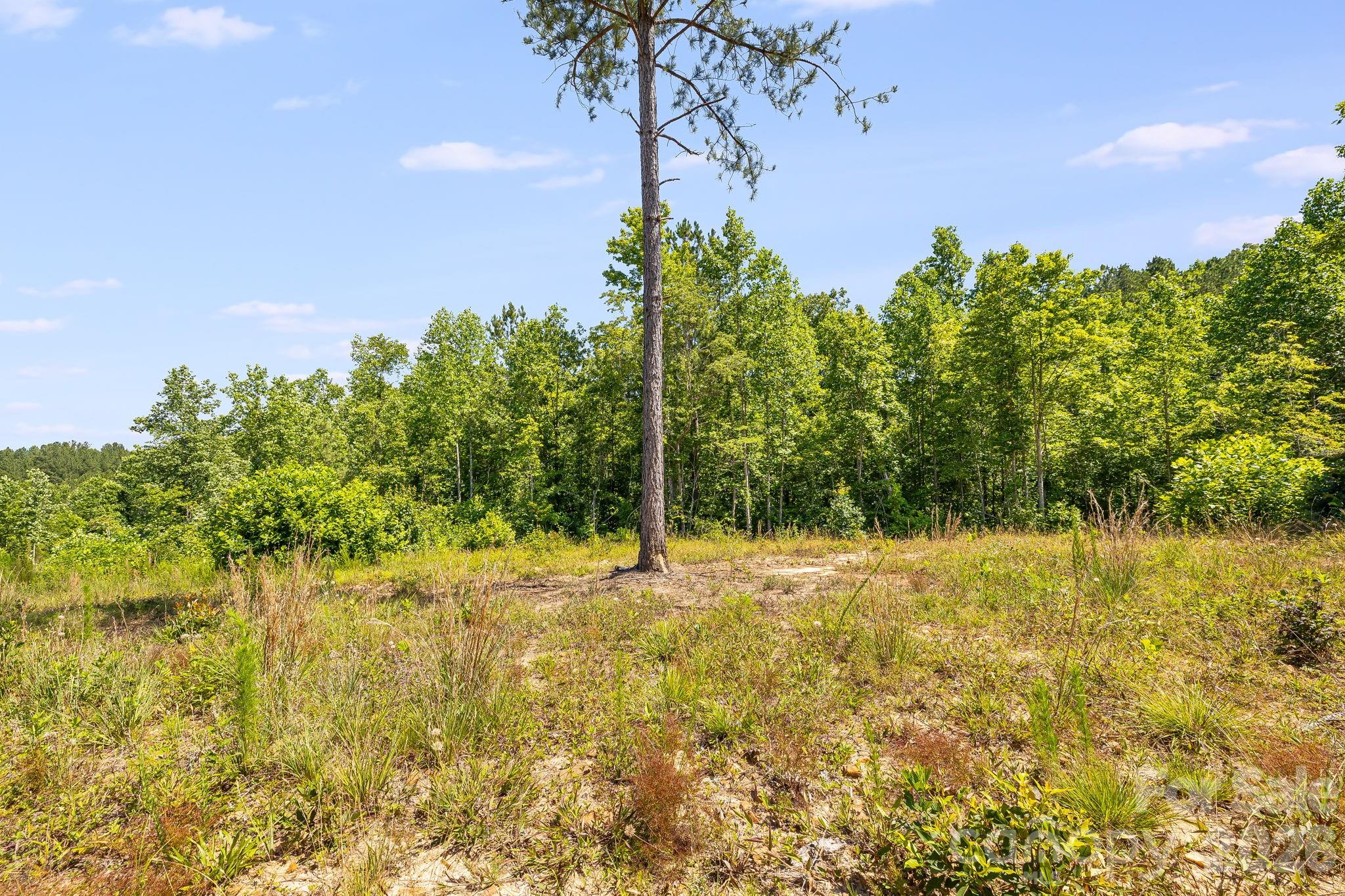 Lot #2 Clark Road Property Photo 13